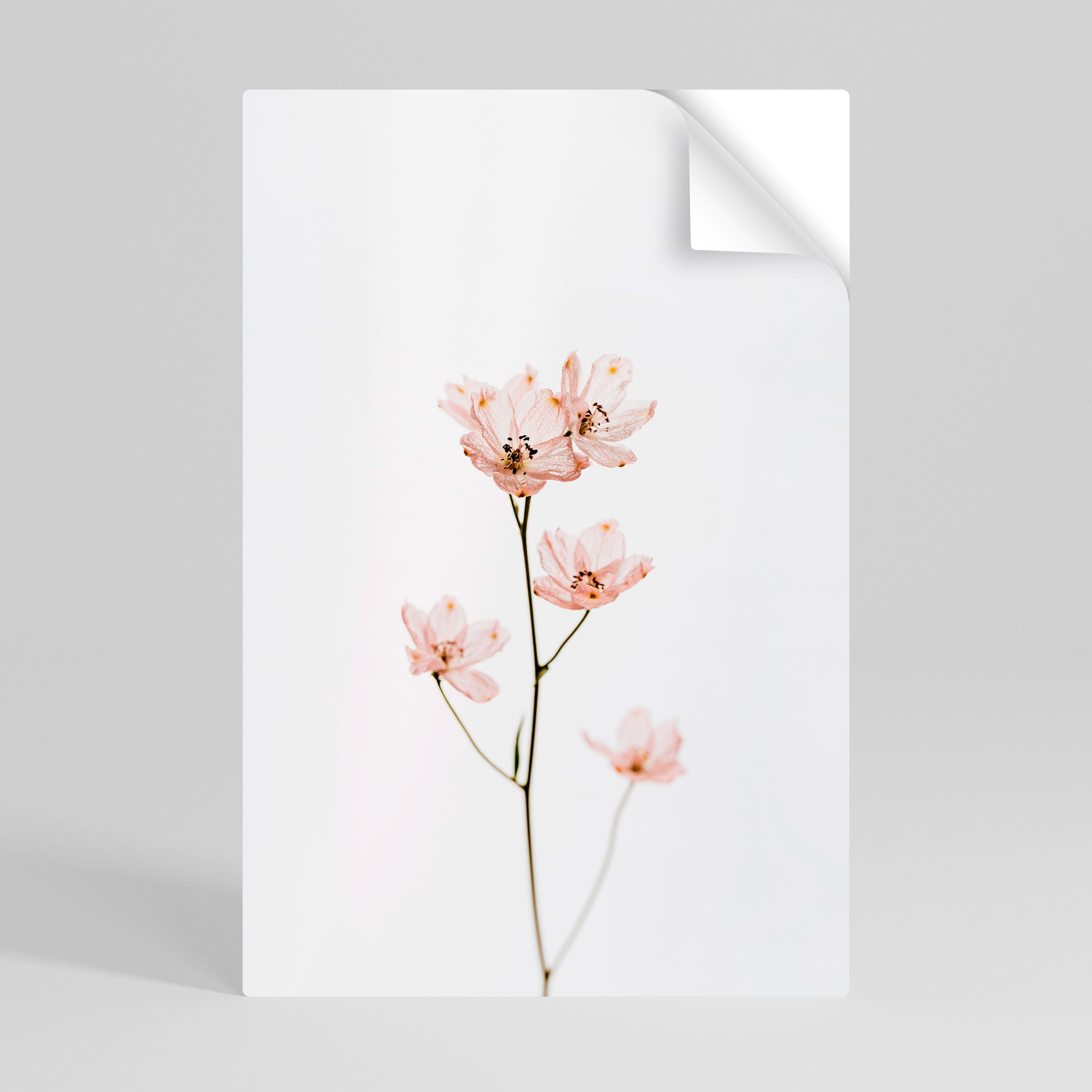 WHISPERS OF PINK Vertikales Poster zum Abziehen und Aufkleben