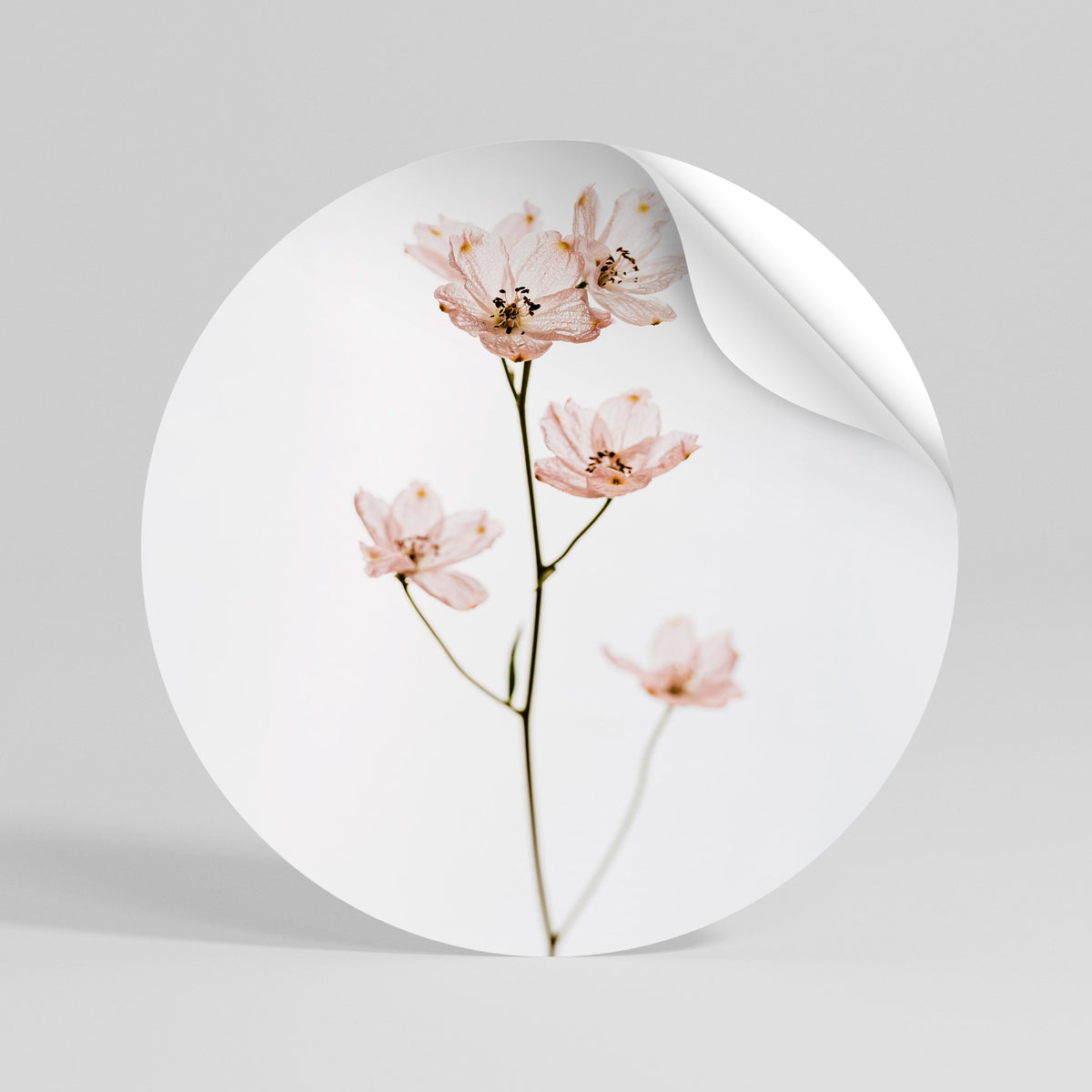 WHISPERS OF PINK Runder Wandsticker zum Abziehen und Aufkleben