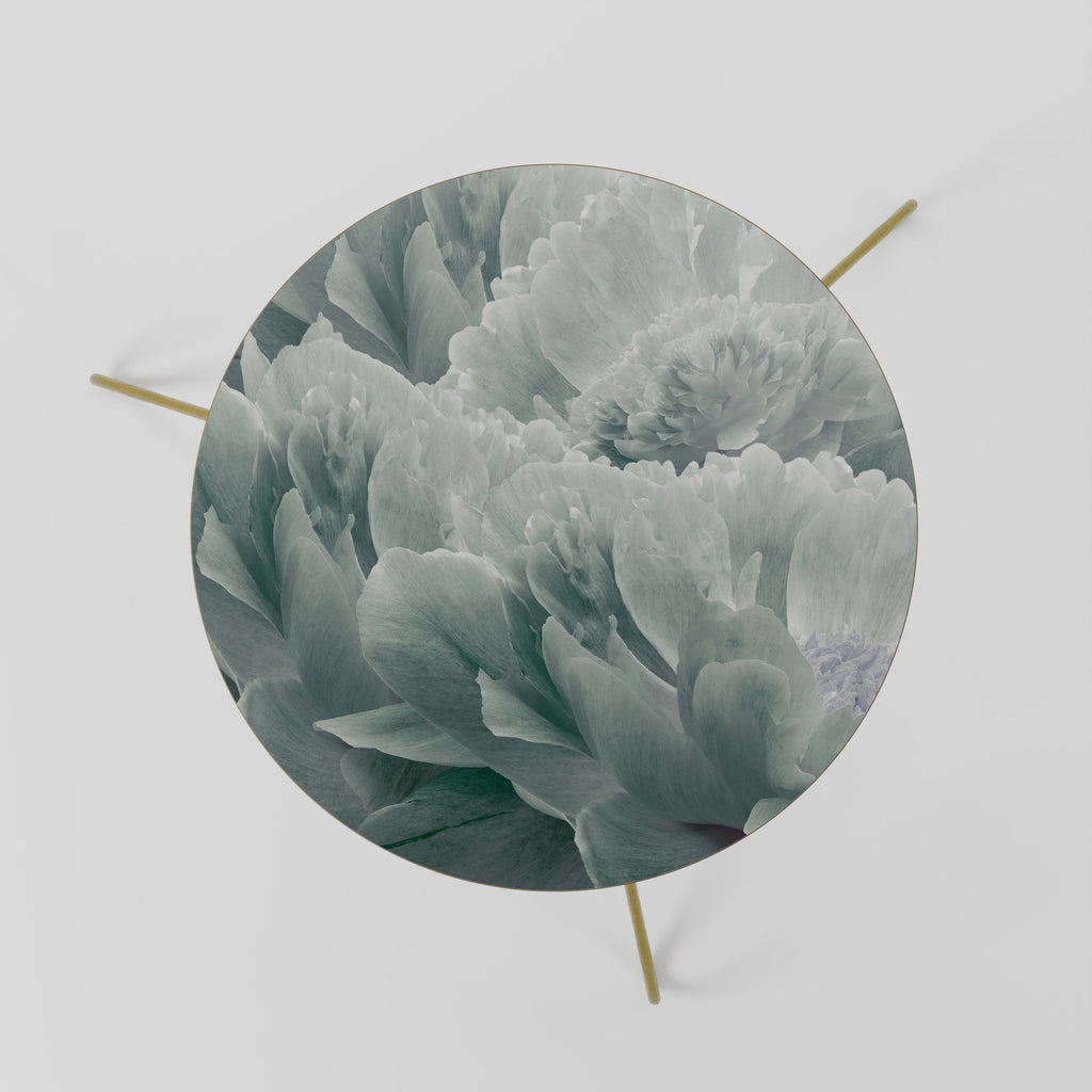TREE PEONIES Couchtisch 60