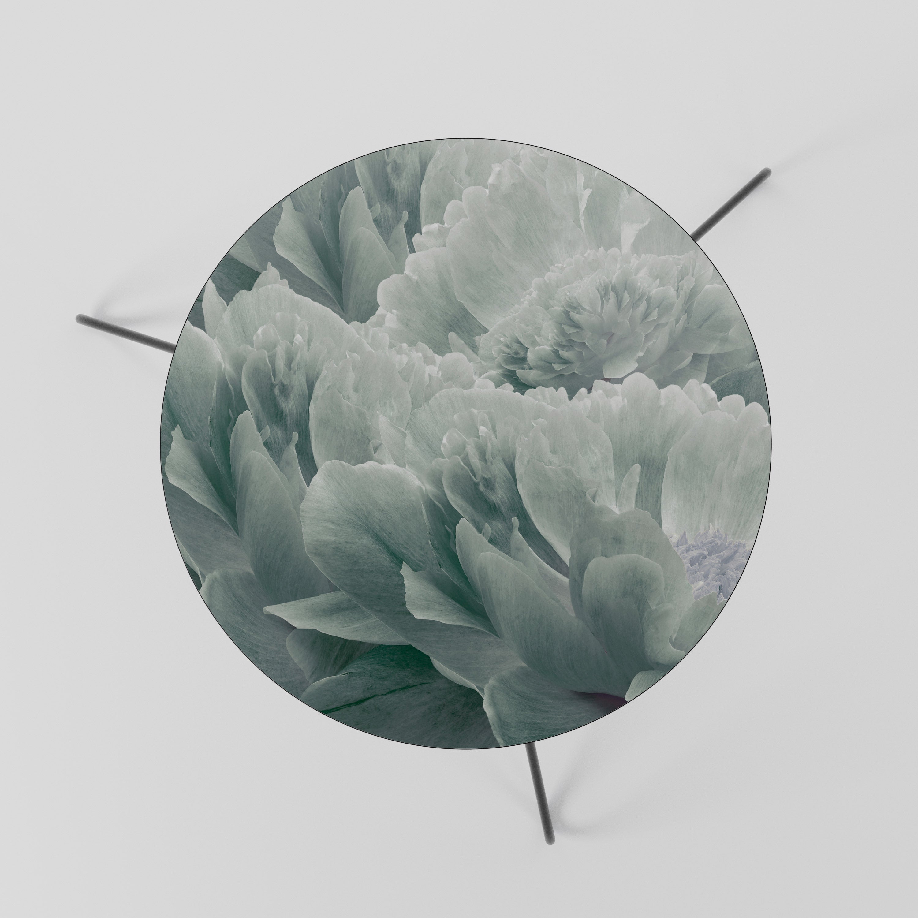 TREE PEONIES Couchtisch 60