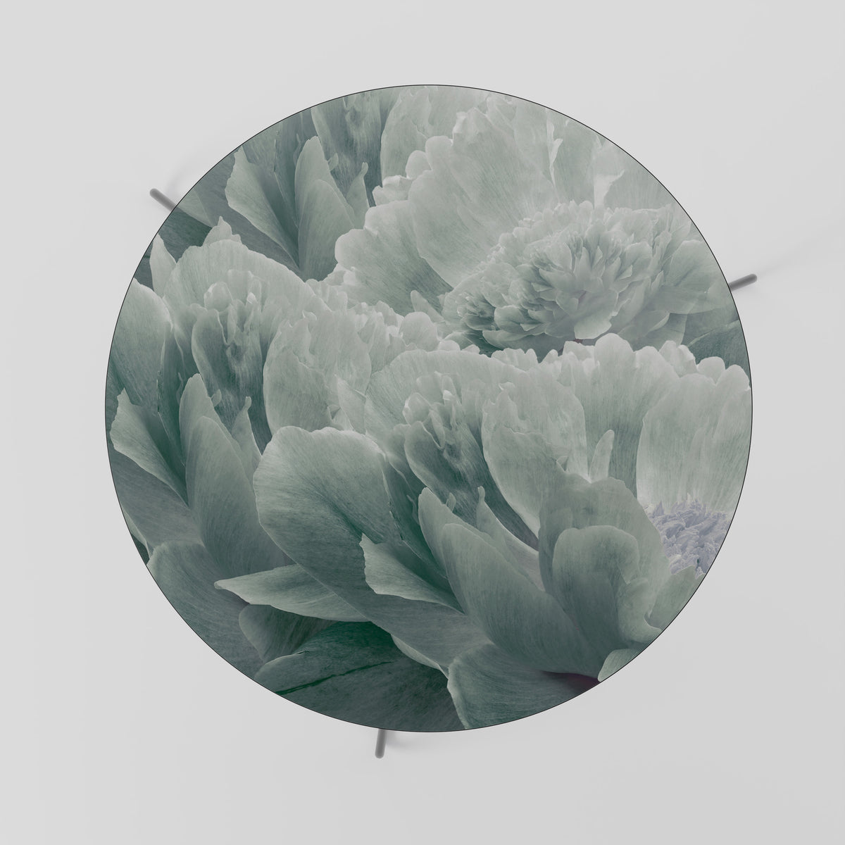 TREE PEONIES Coffee Table