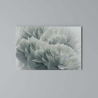 TREE PEONIES Horizontal Canvas Print