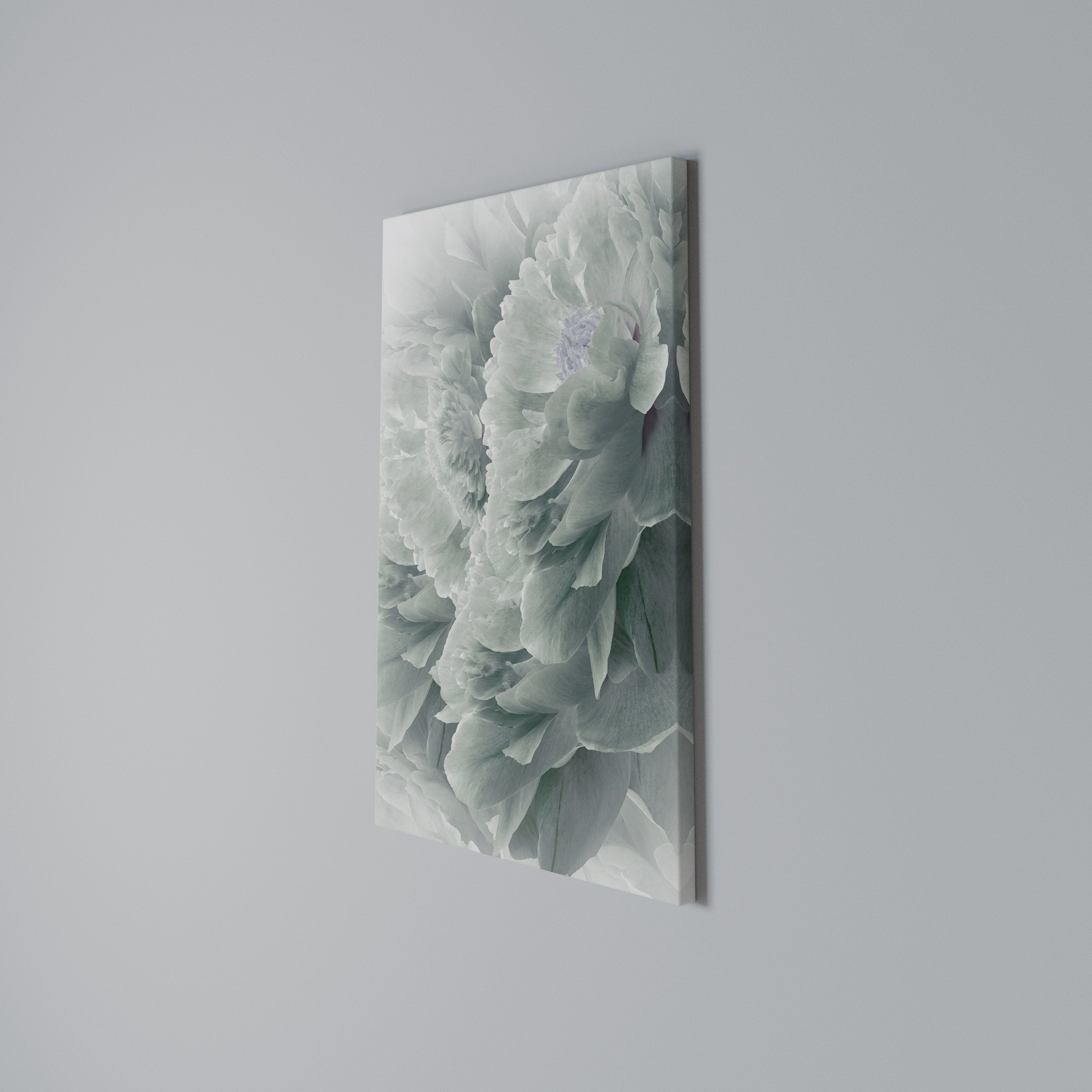 TREE PEONIES Vertical Canvas Print