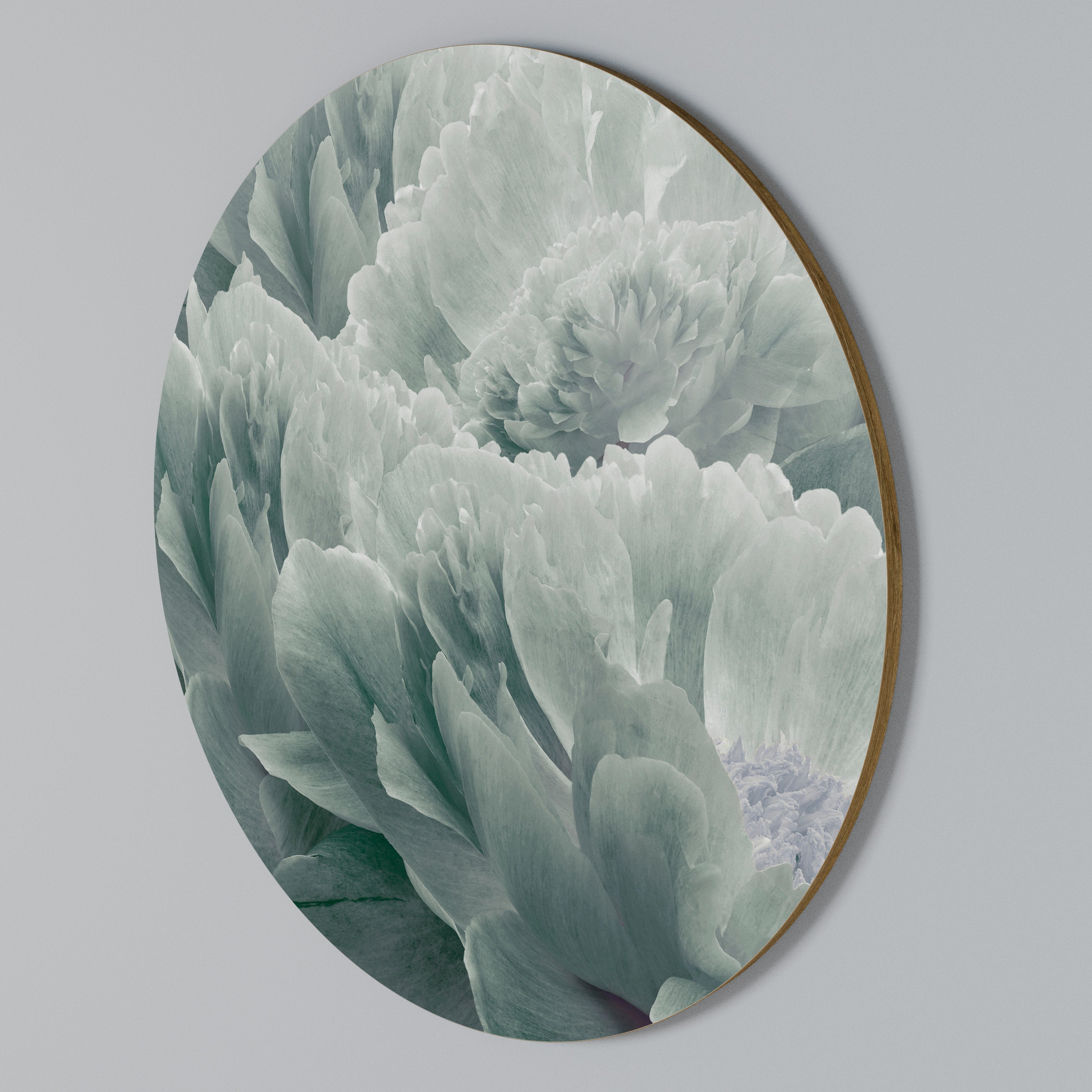 TREE PEONIES Rundes Wandbild