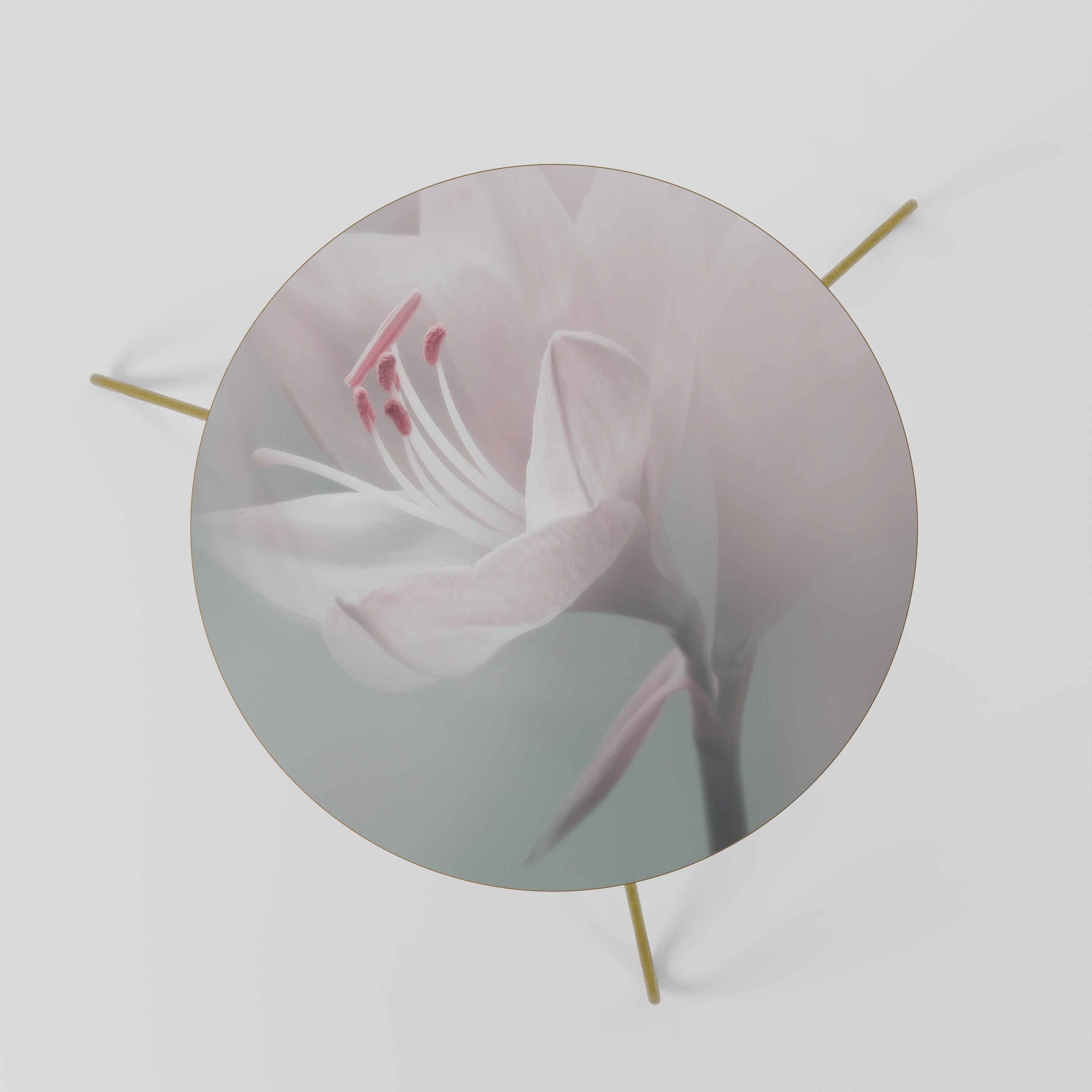 GENTLE LILY Couchtisch 60