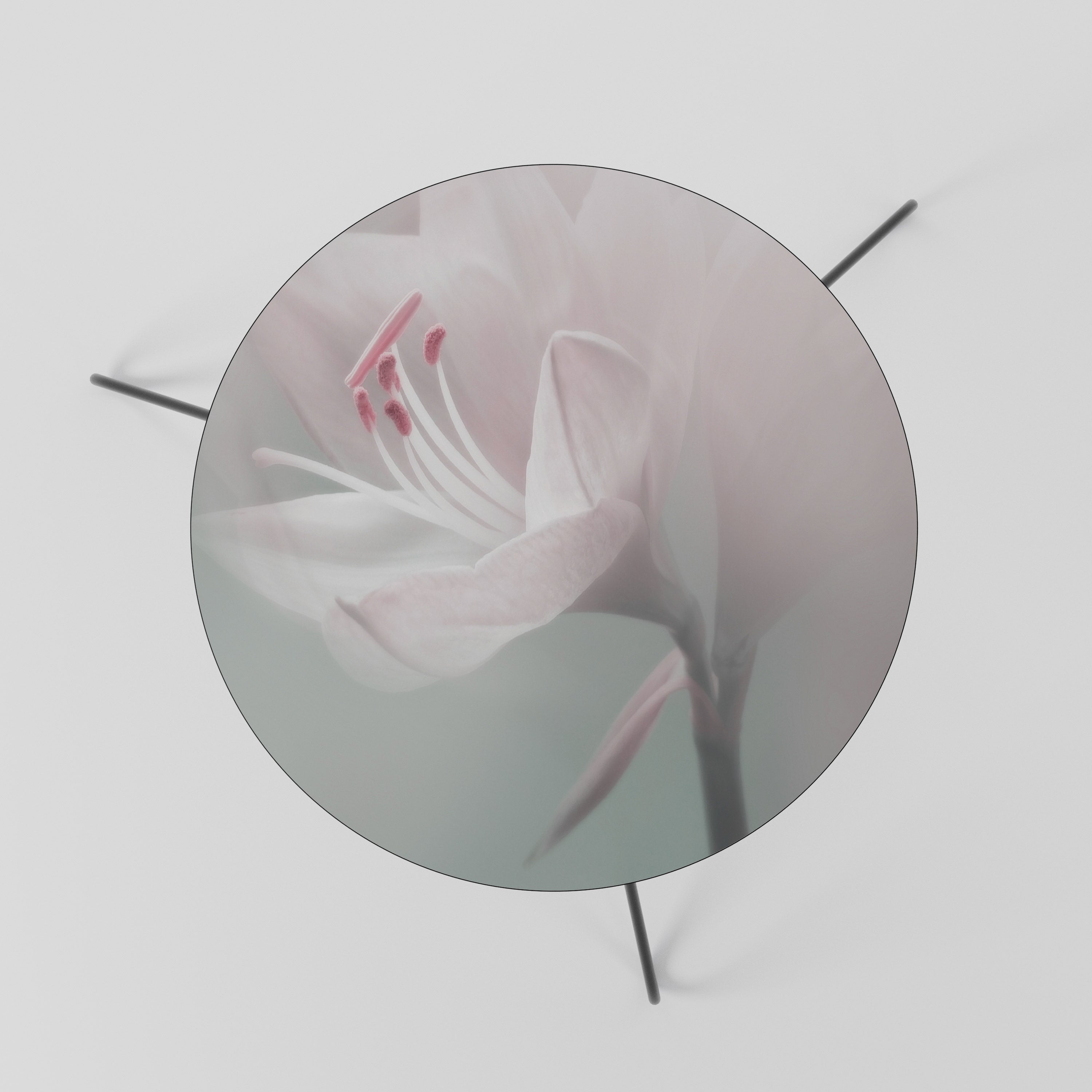 GENTLE LILY Couchtisch 60