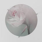 GENTLE LILY Coffee Table 69