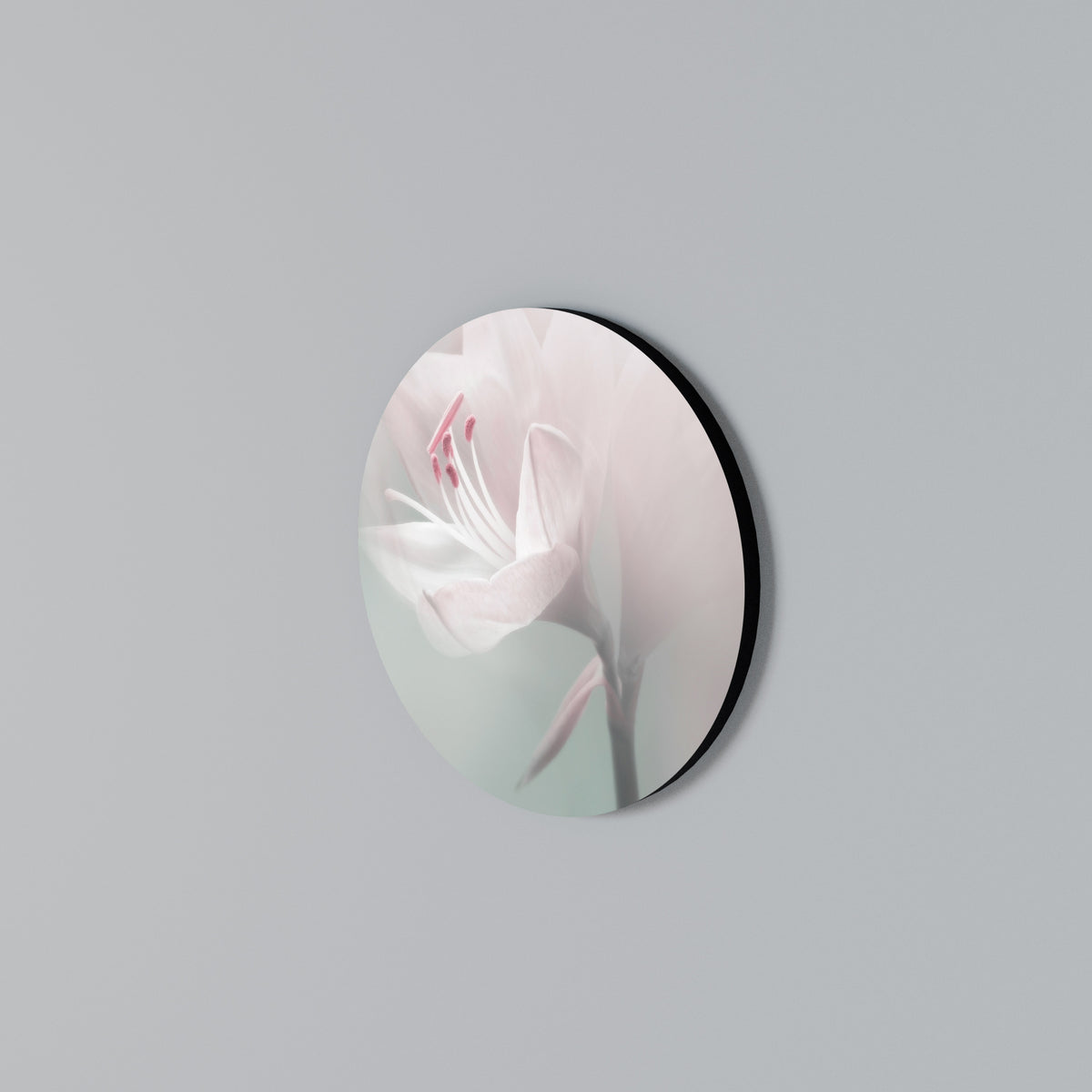 GENTLE LILY Rundes Wandbild