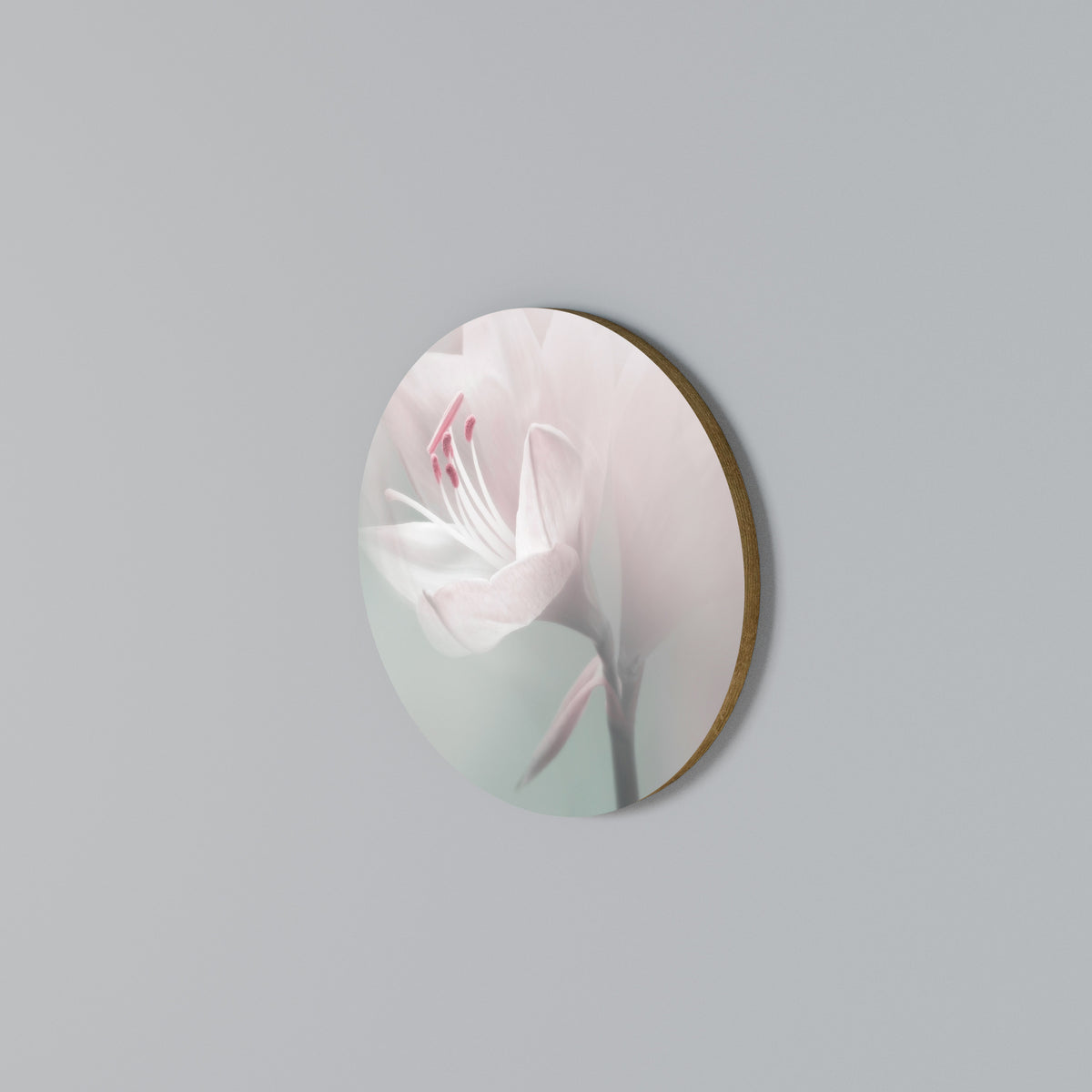 GENTLE LILY Rundes Wandbild