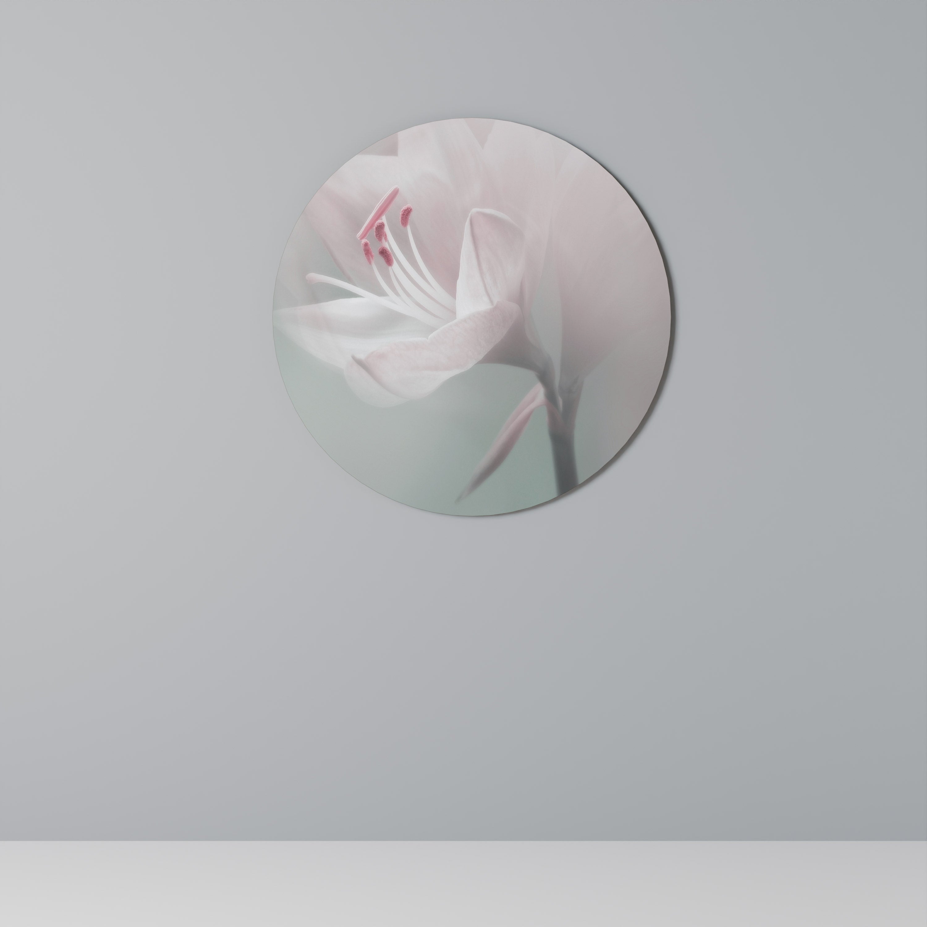 Runde Wandkunst „GENTLE LILY“