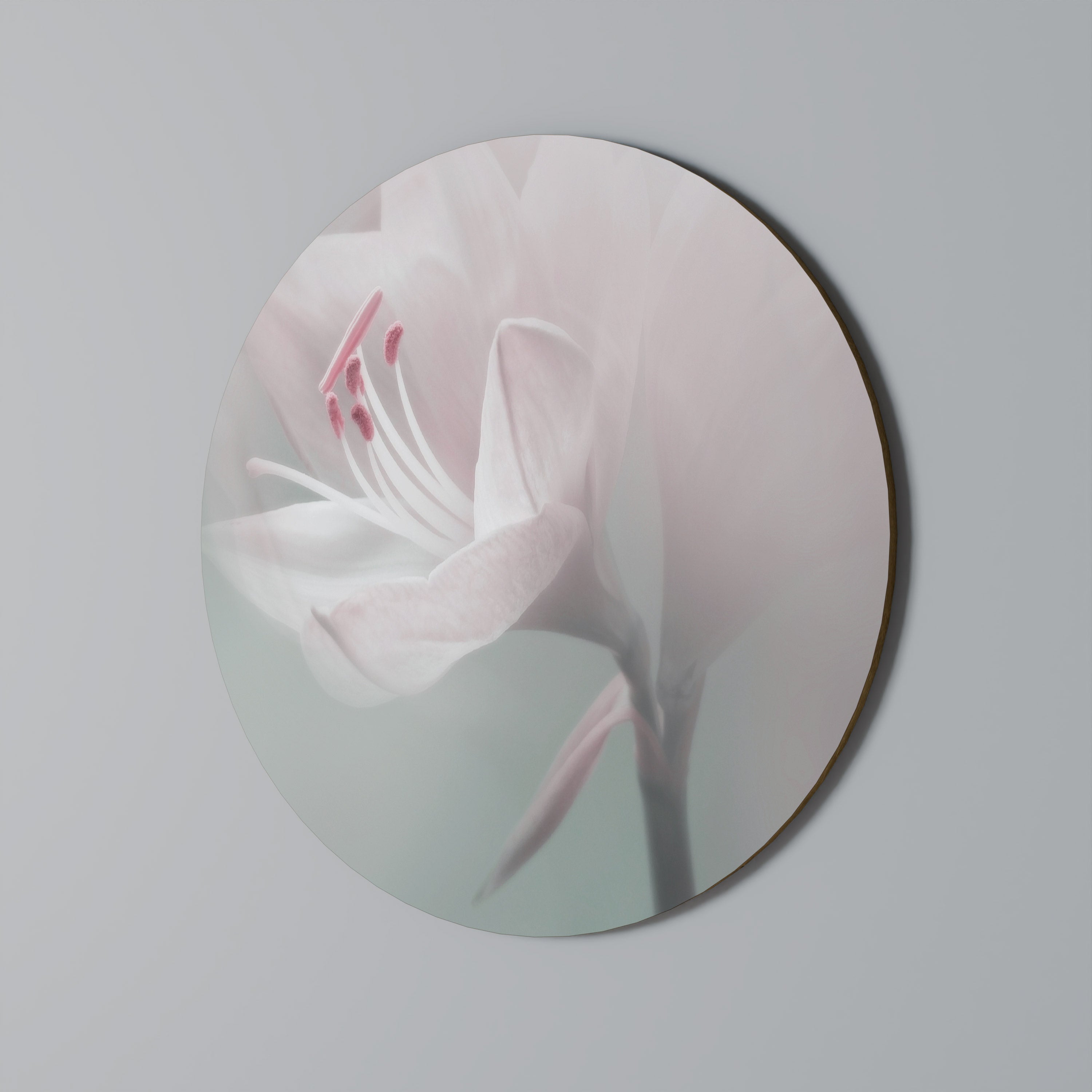 Runde Wandkunst „GENTLE LILY“