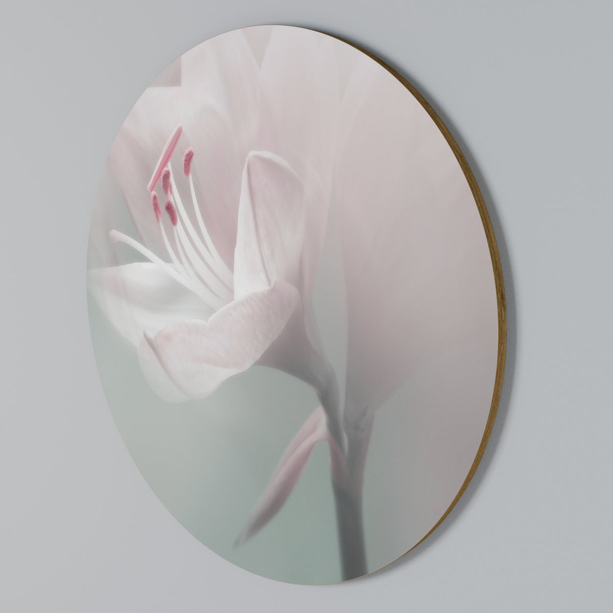 GENTLE LILY Rundes Wandbild