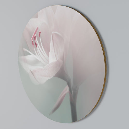 GENTLE LILY Rundes Wandbild