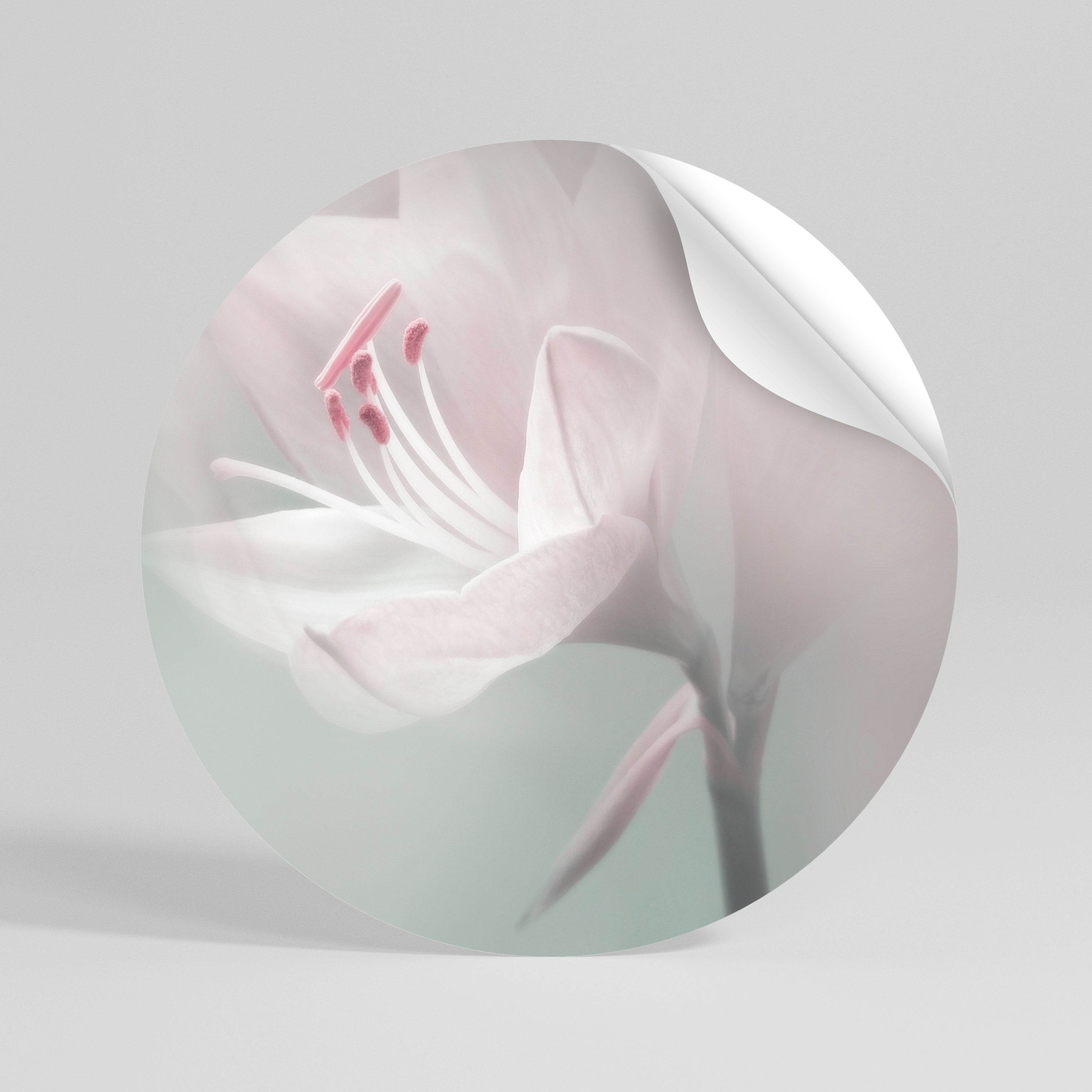 GENTLE LILY Peel and Stick Round Sticker