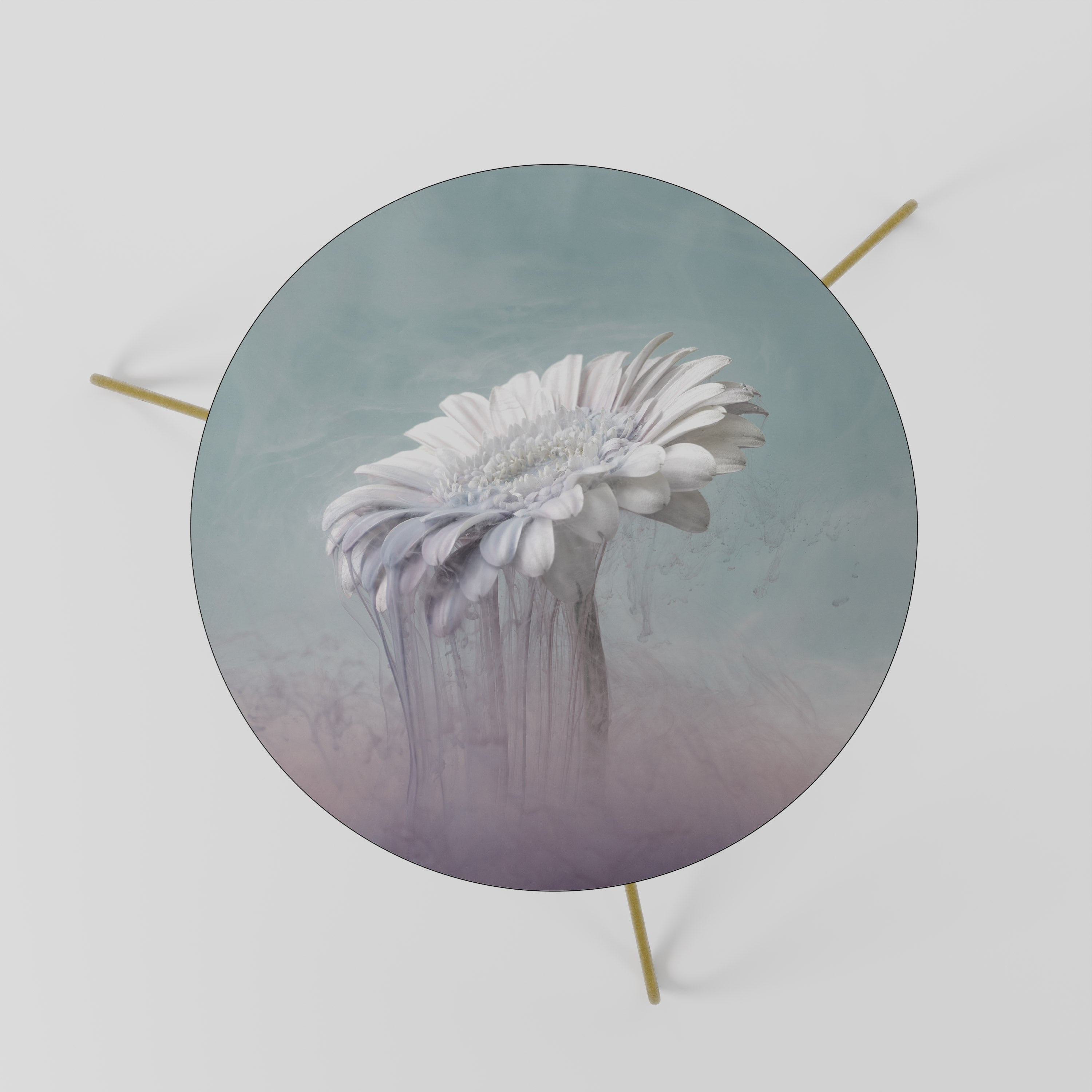 MELTING GERBERA Couchtisch 60