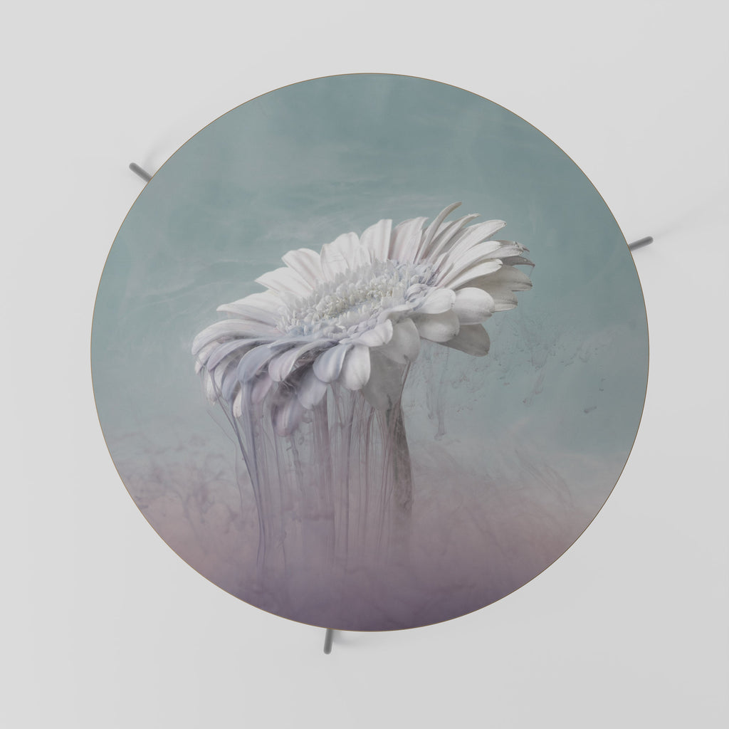 MELTING GERBERA Coffee Table 69