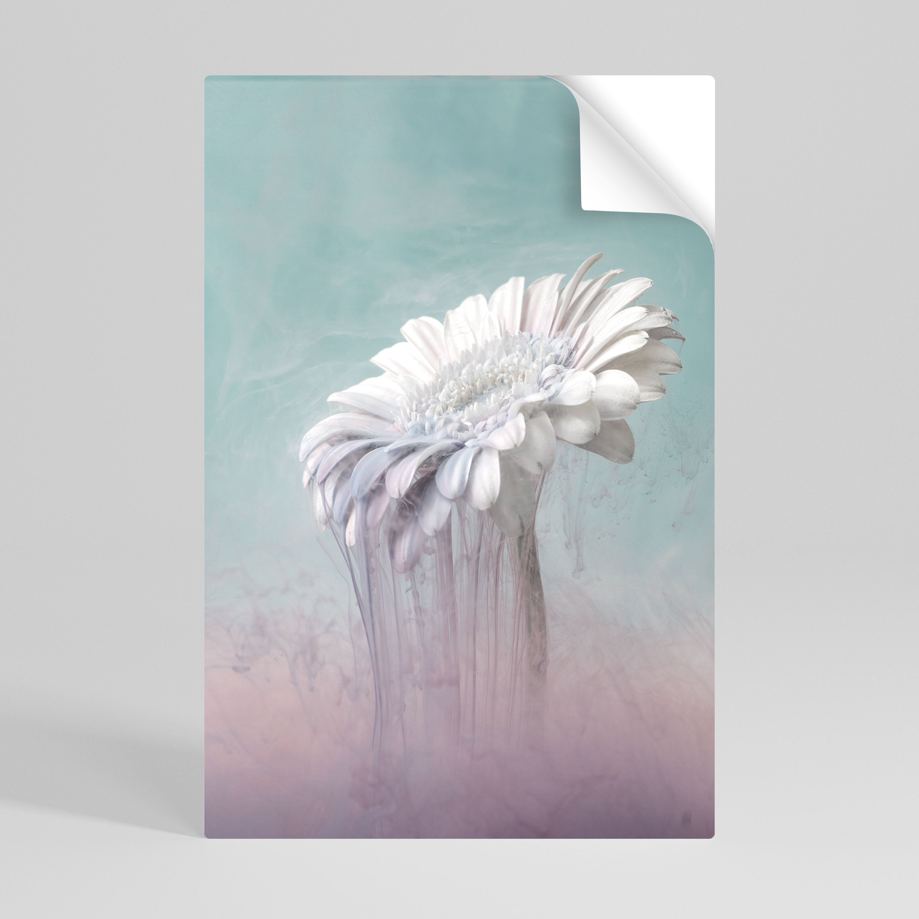MELTING GERBERA Vertikales Poster zum Abziehen und Aufkleben