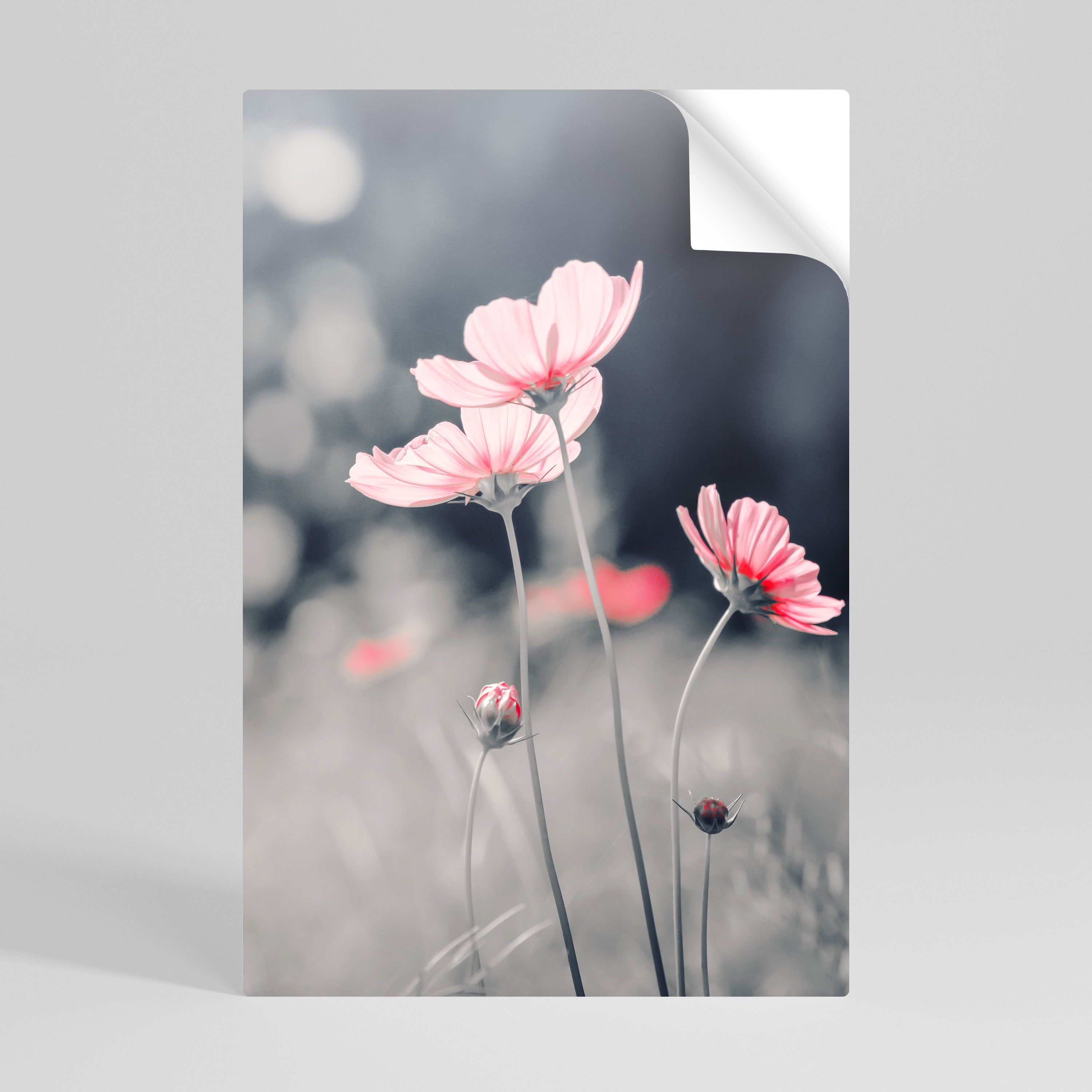 SUBTLE PETAL DANCE Vertikales Poster zum Abziehen und Aufkleben
