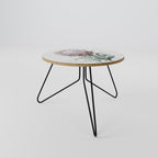 ROYAL PROTEA Couchtisch Ø 60 cm