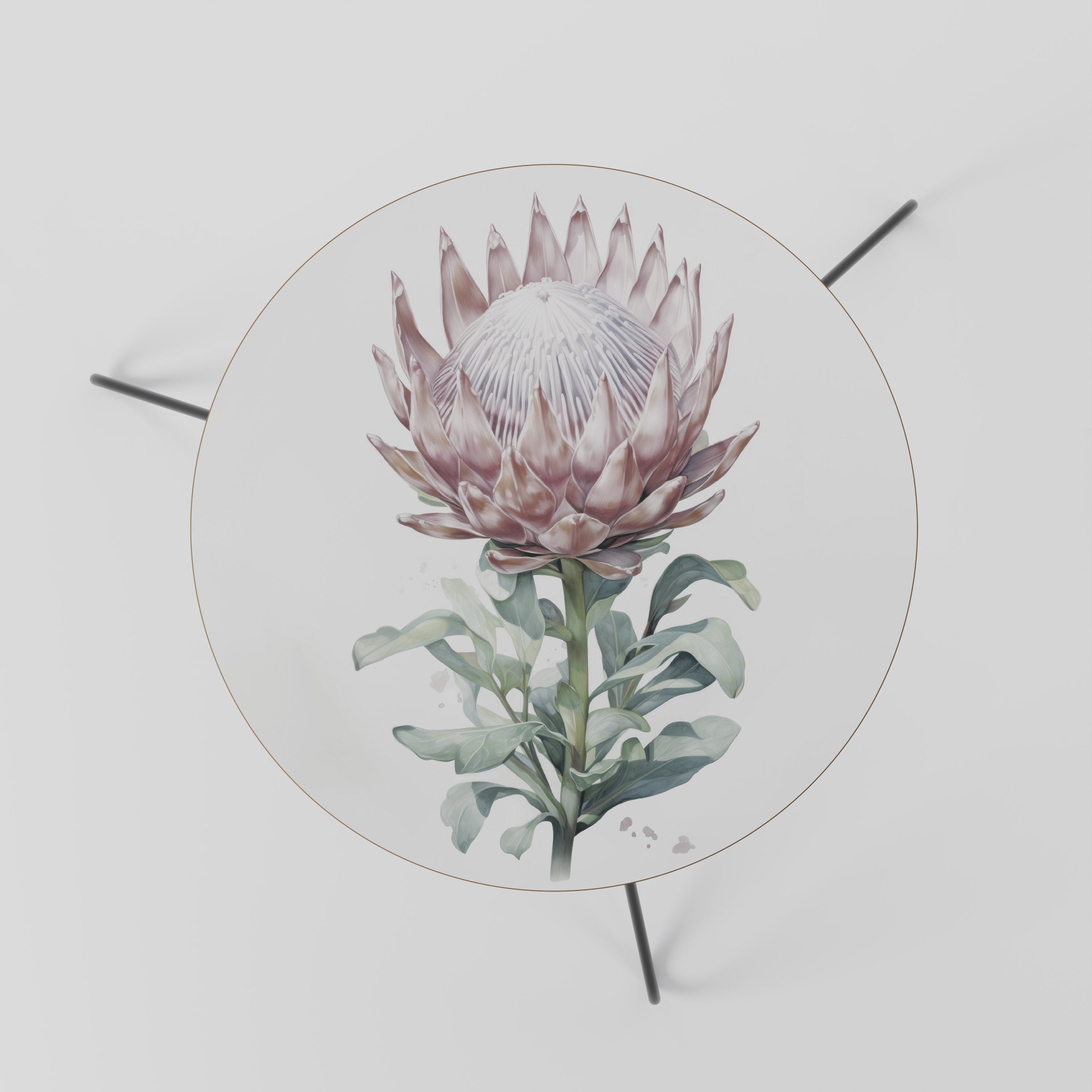 ROYAL PROTEA Couchtisch 60
