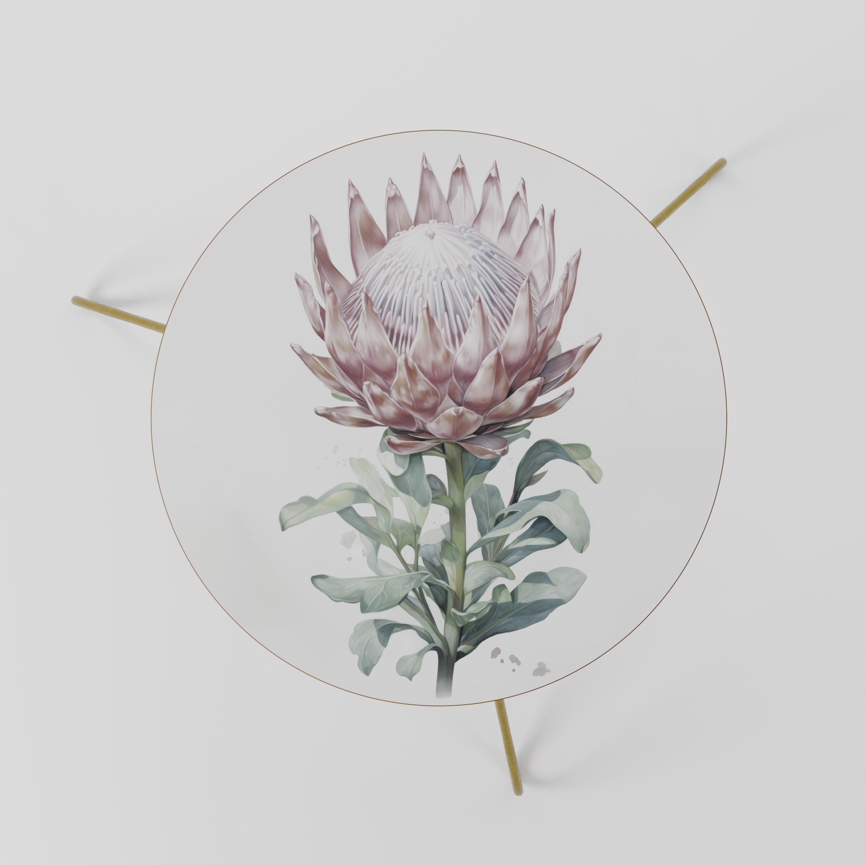 ROYAL PROTEA Couchtisch 60