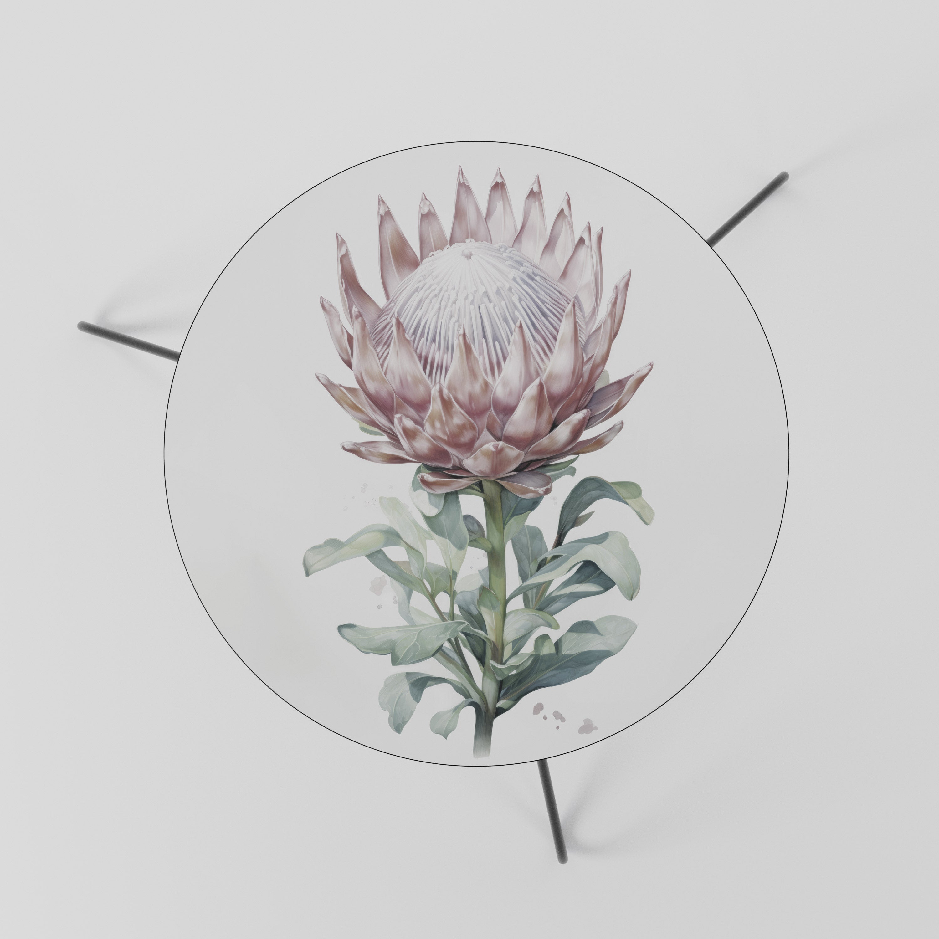 ROYAL PROTEA Couchtisch 60