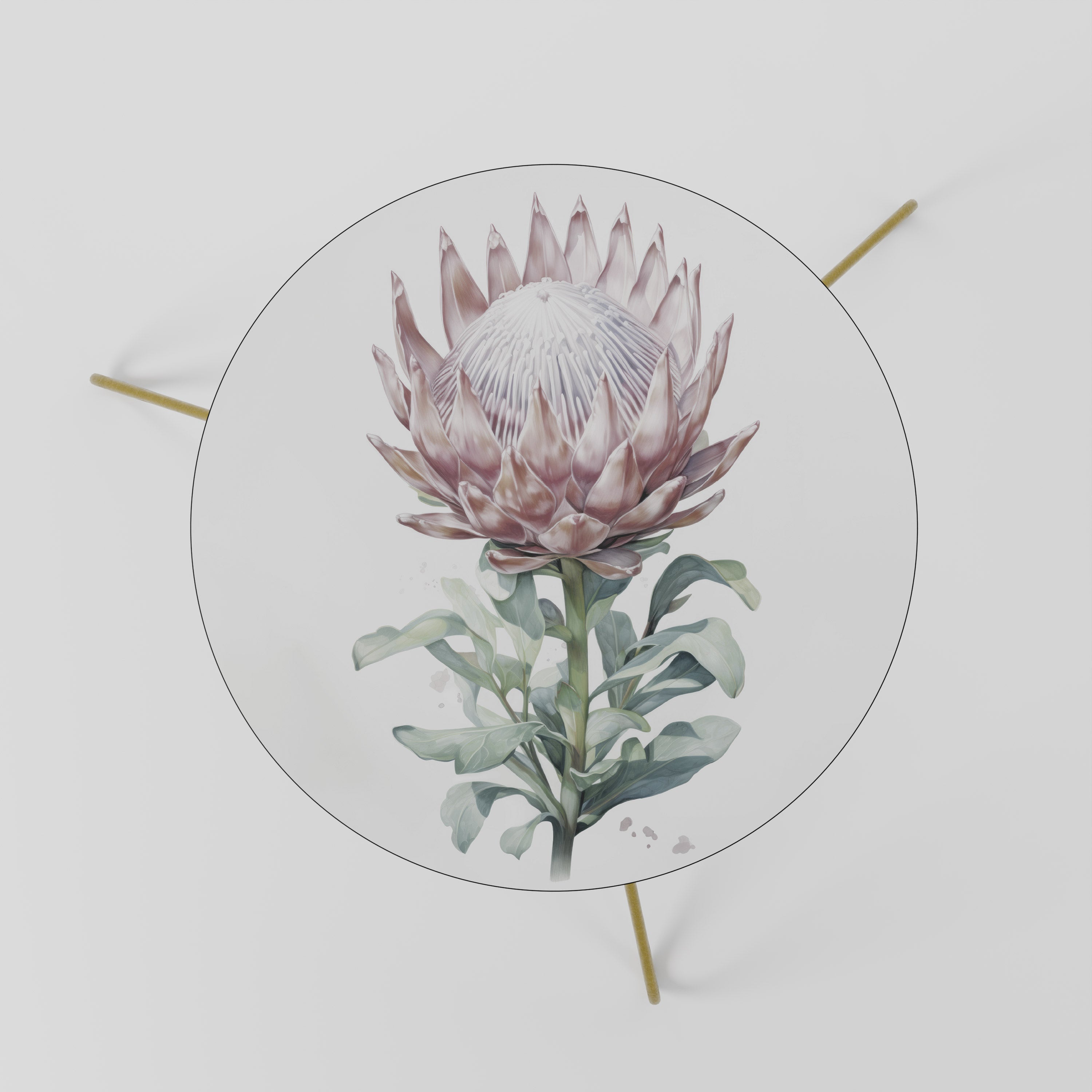 ROYAL PROTEA Couchtisch 60