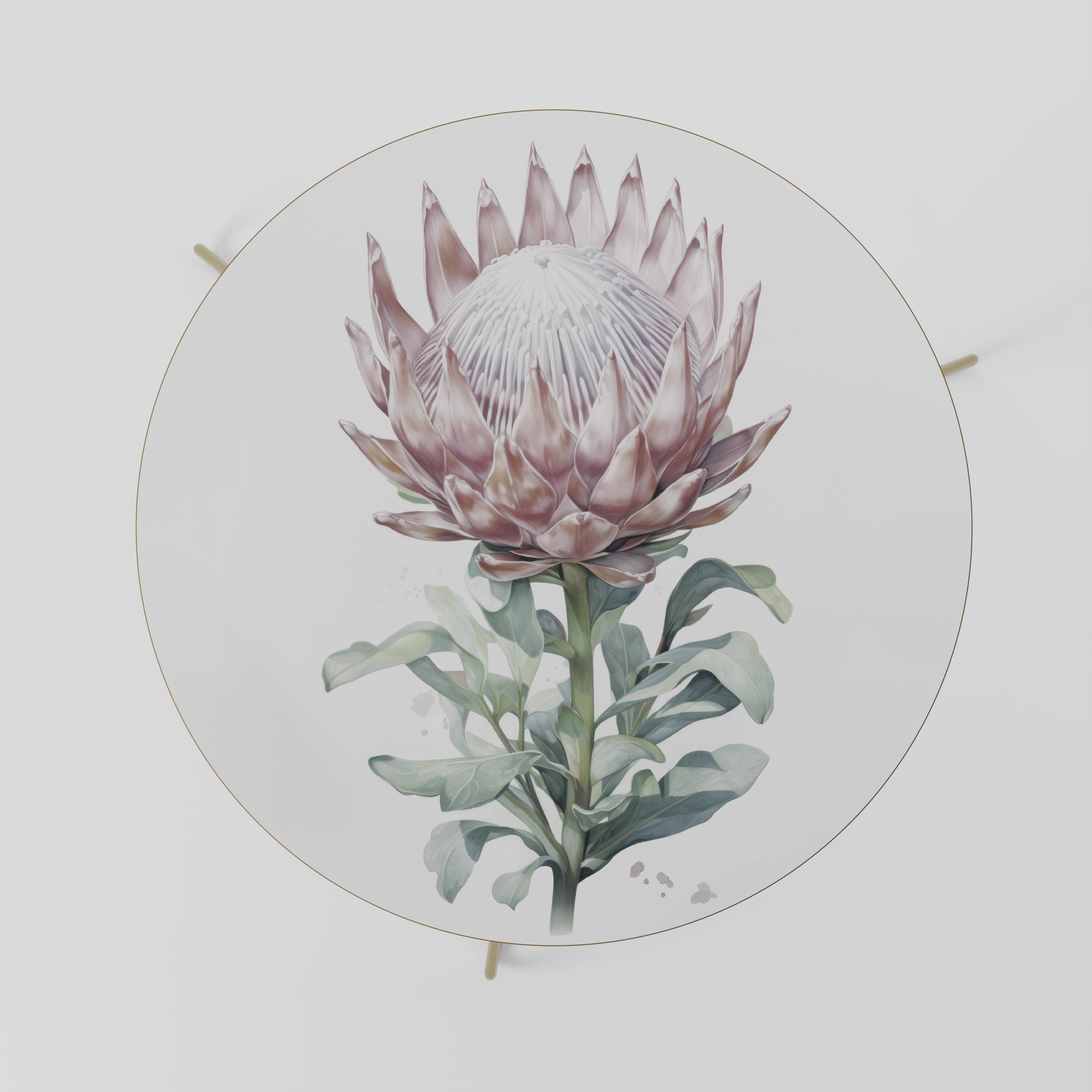 ROYAL PROTEA Coffee Table 69