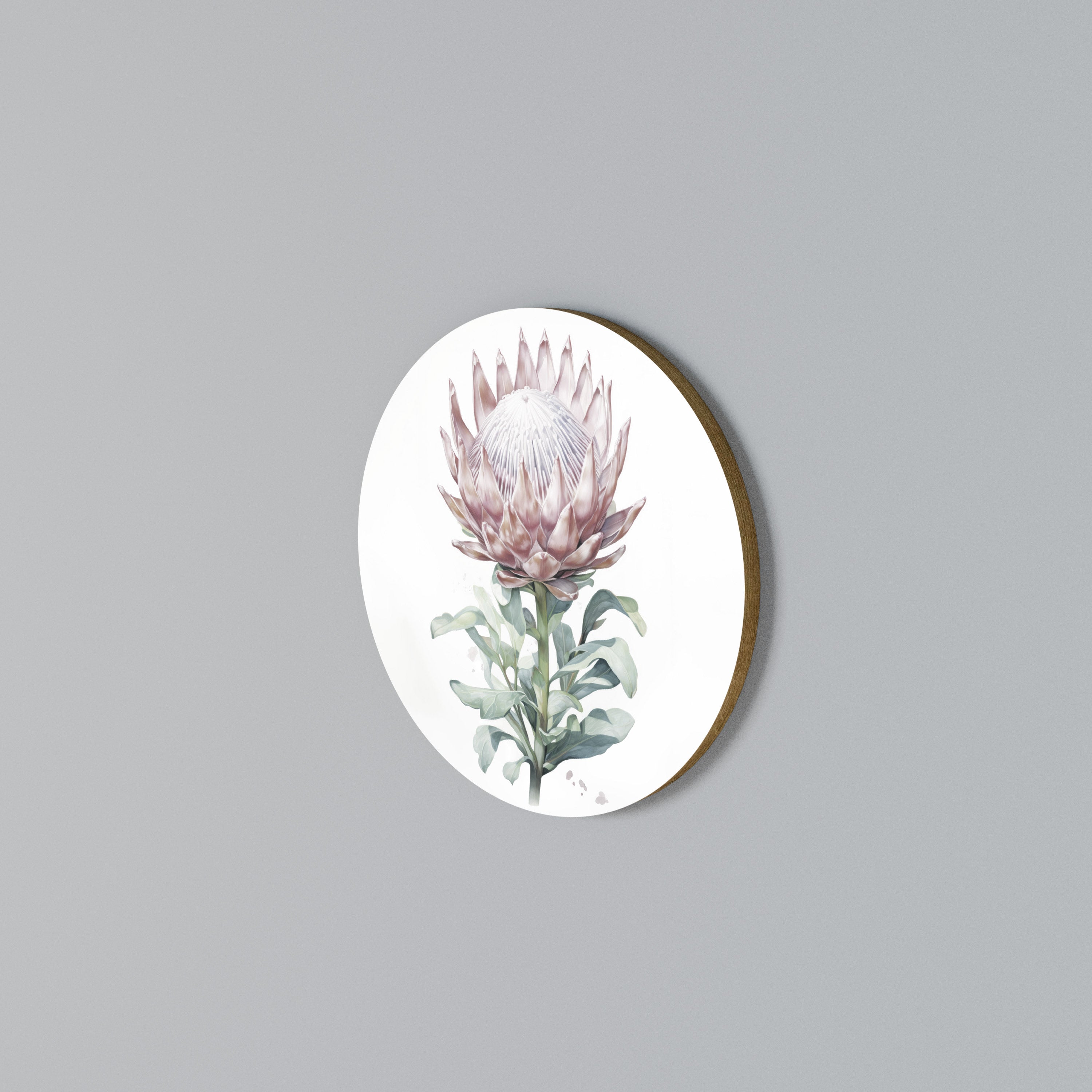ROYAL PROTEA Rundes Wandbild