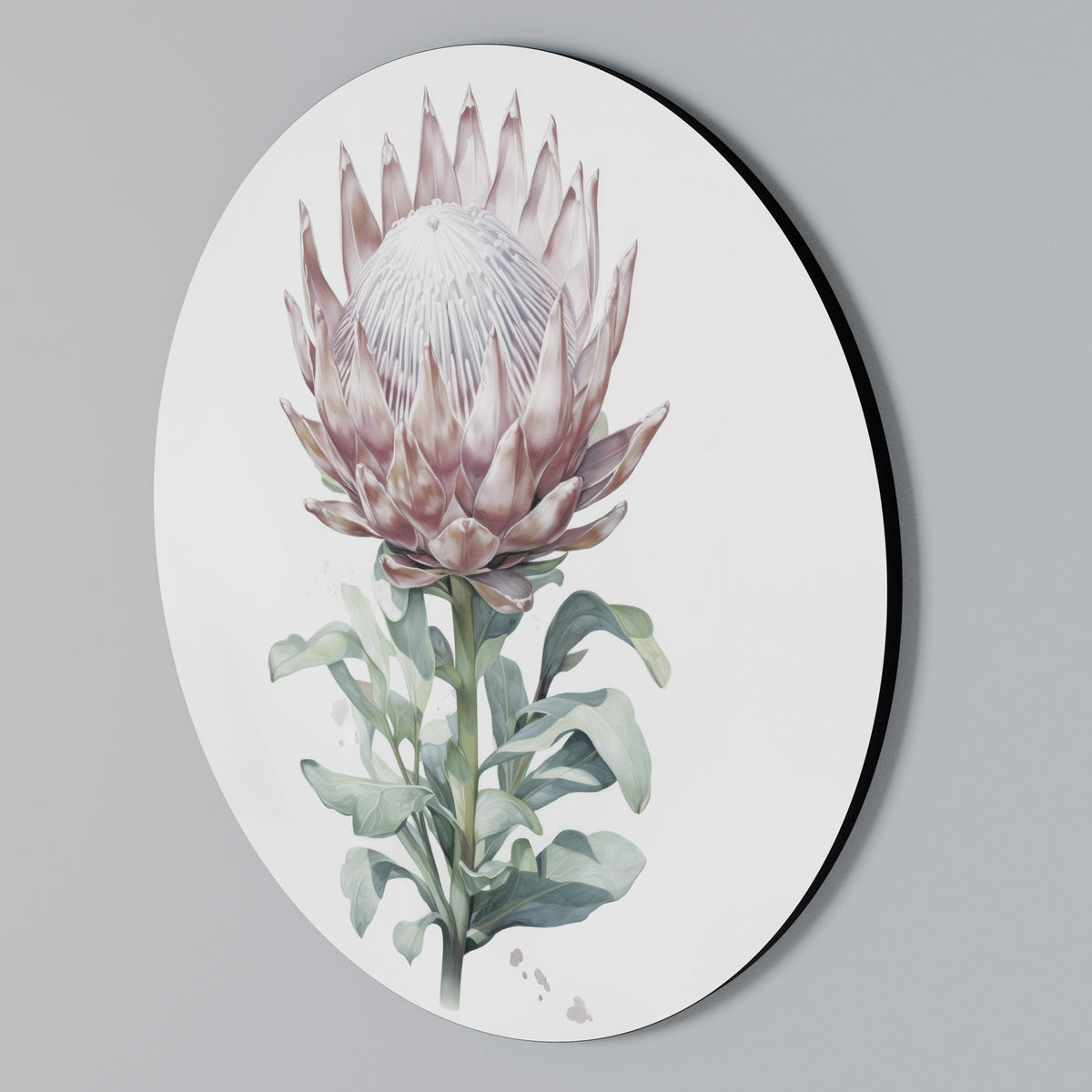 ROYAL PROTEA Round Wall Art