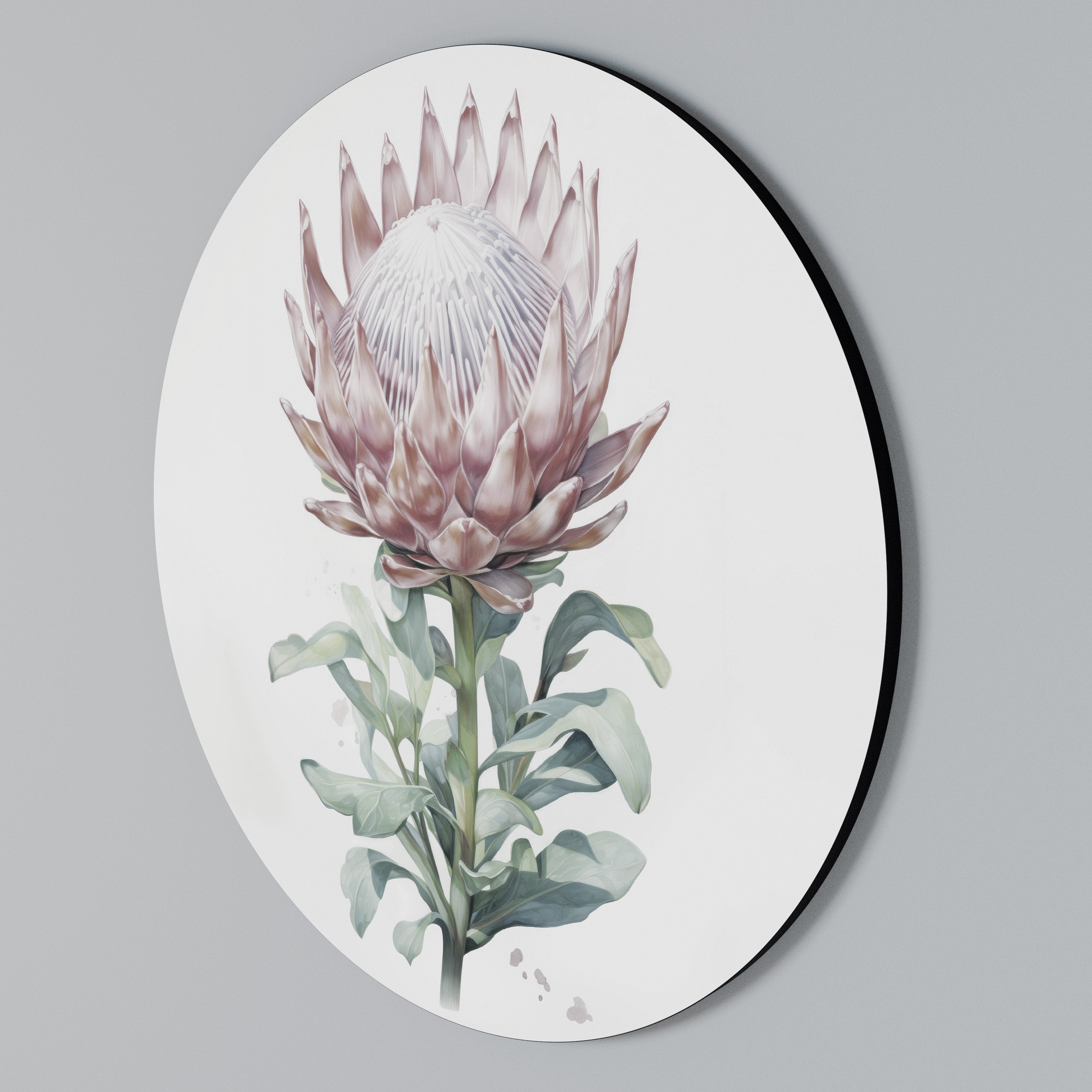 ROYAL PROTEA Rundes Wandbild