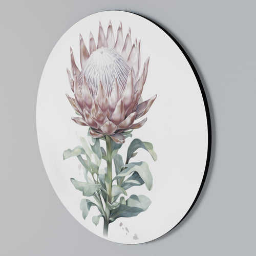 ROYAL PROTEA Round Wall Art