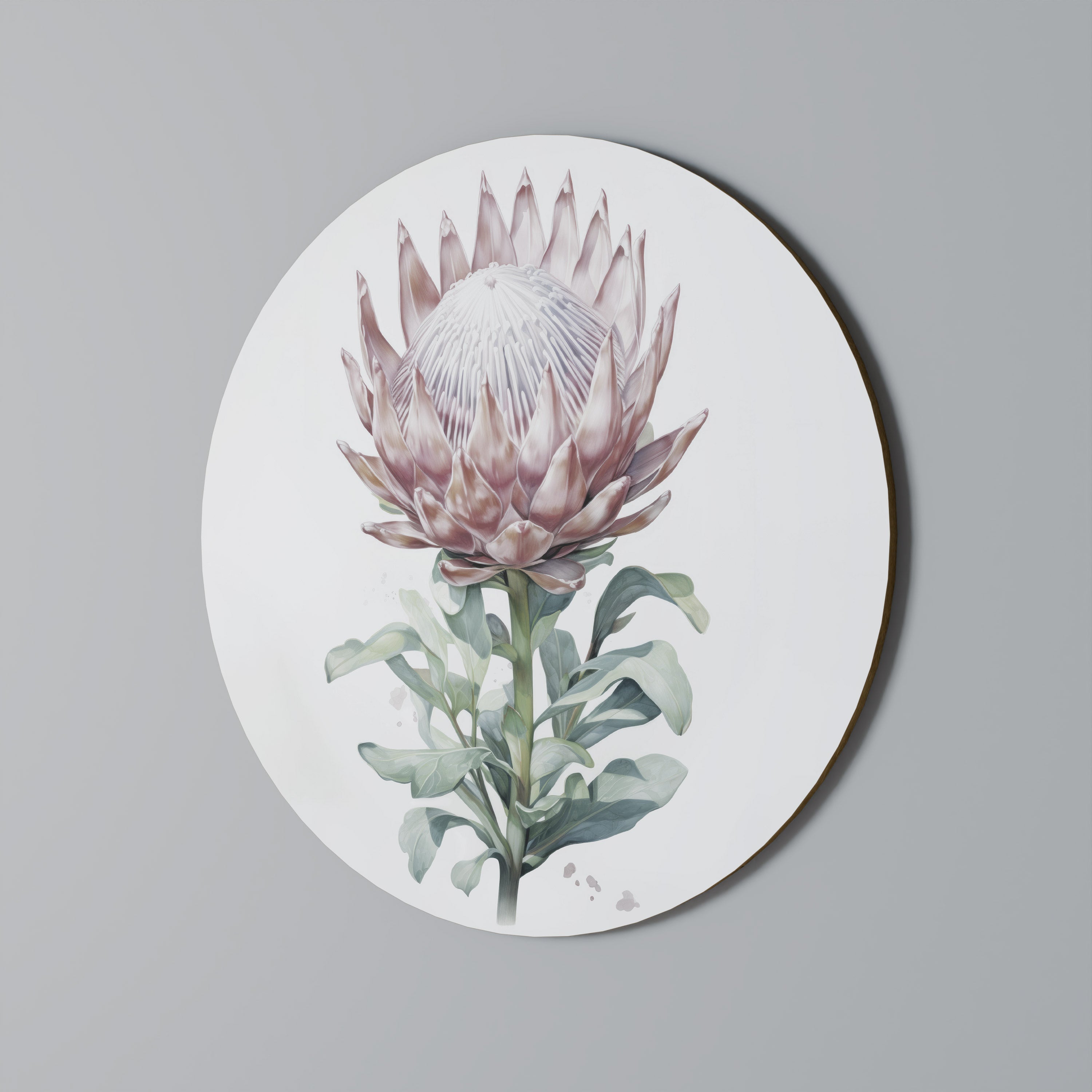 ROYAL PROTEA Runde Wandkunst