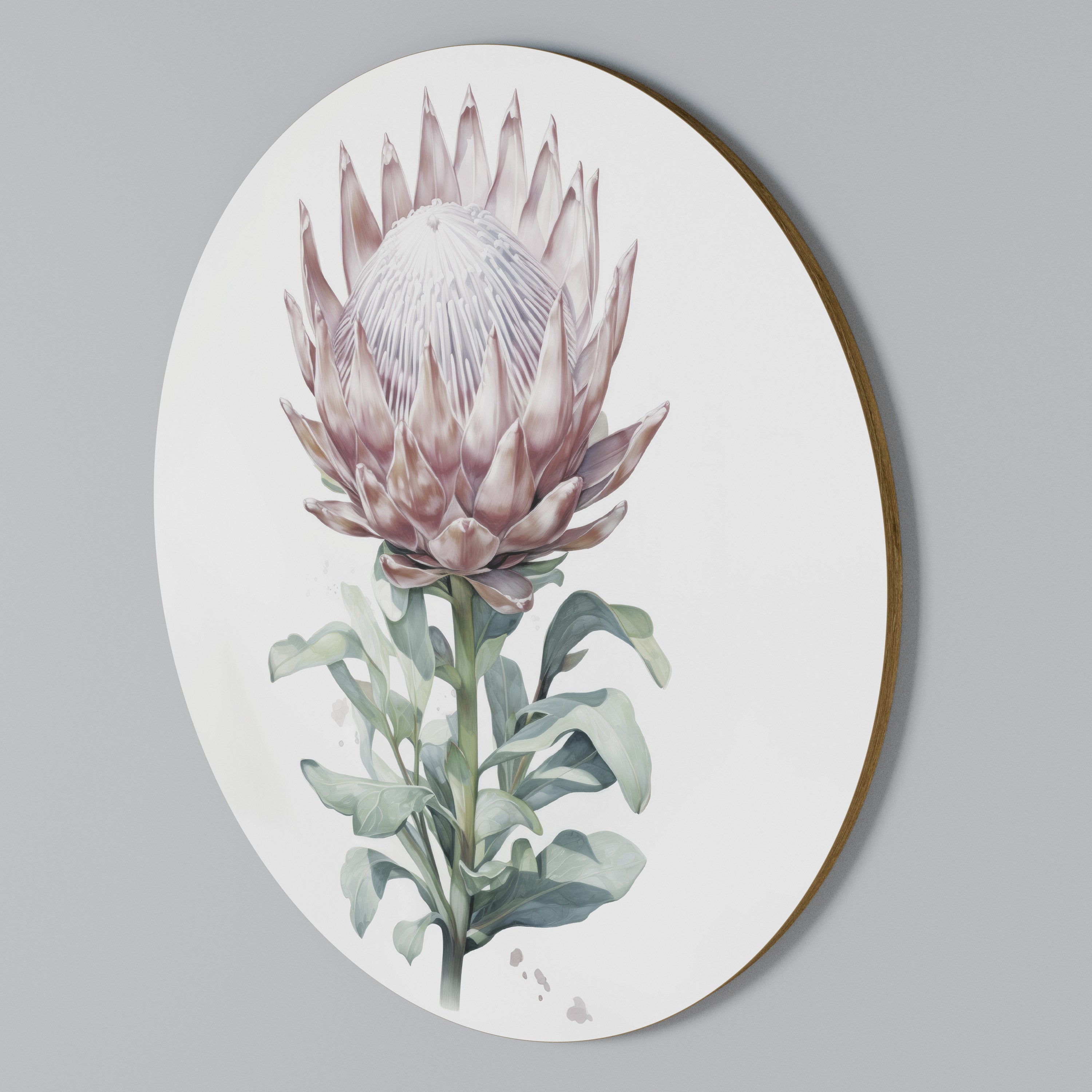 ROYAL PROTEA Rundes Wandbild