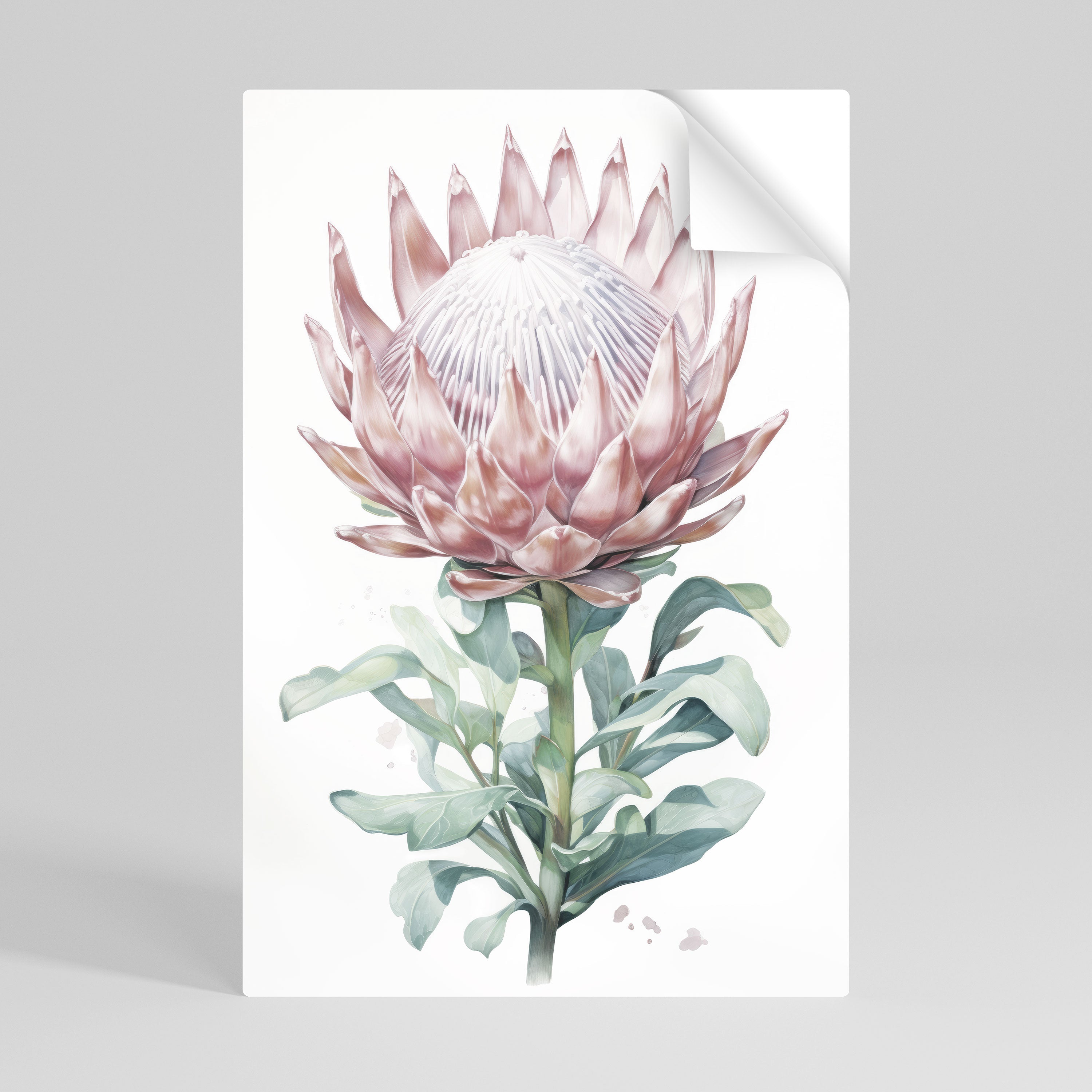 ROYAL PROTEA Vertikales Poster zum Abziehen und Aufkleben