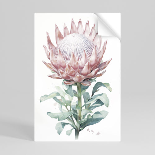 ROYAL PROTEA Selbstklebendes Poster - Hochformat