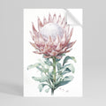 ROYAL PROTEA Selbstklebendes Poster - Hochformat