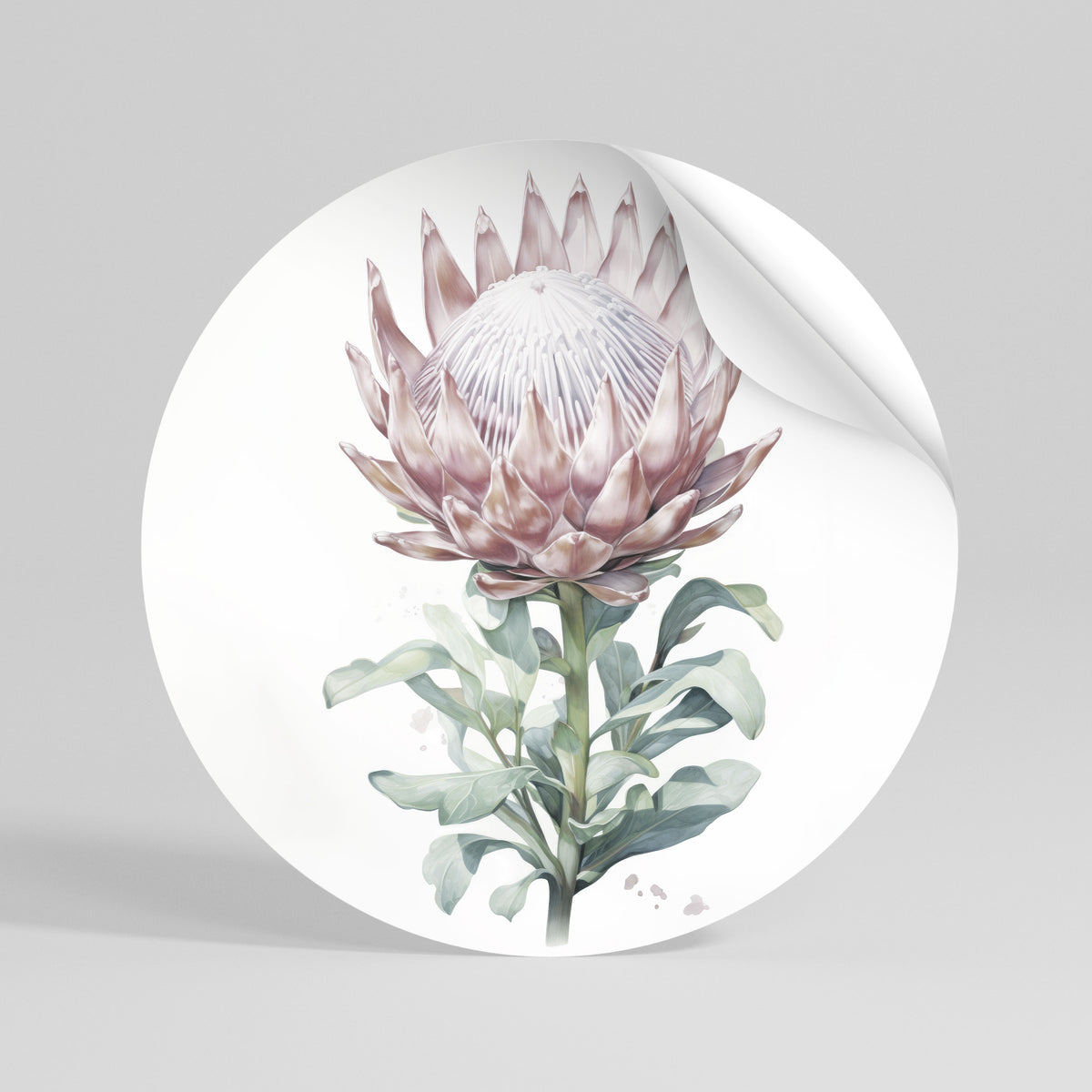 ROYAL PROTEA Runder Wandsticker zum Abziehen und Aufkleben