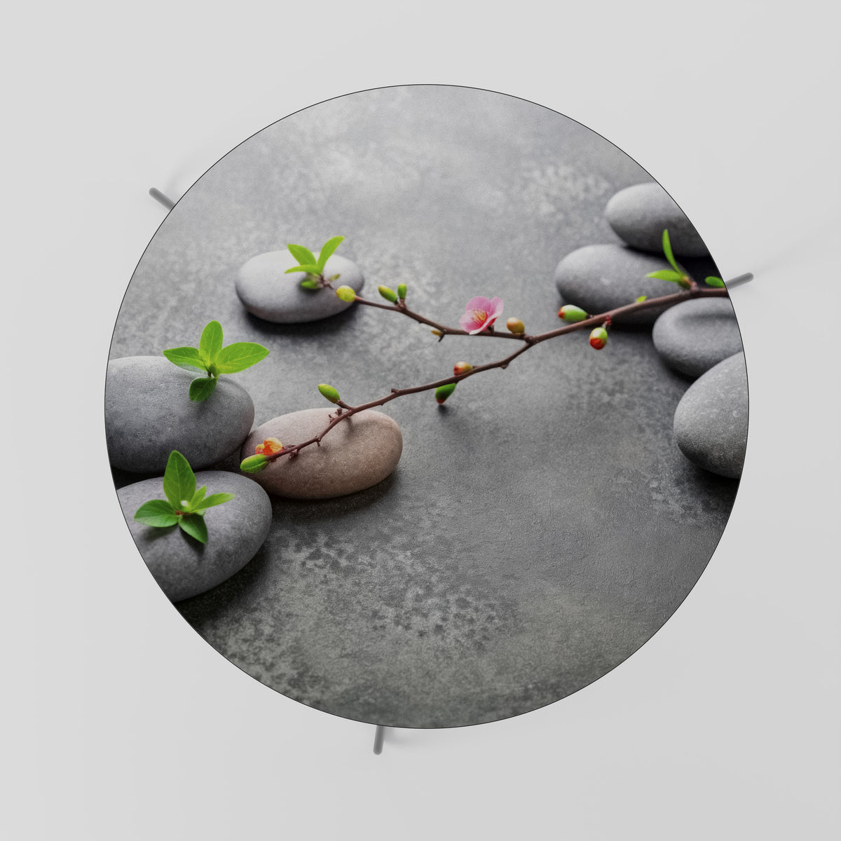 STONES AND BLOSSOMS Couchtisch