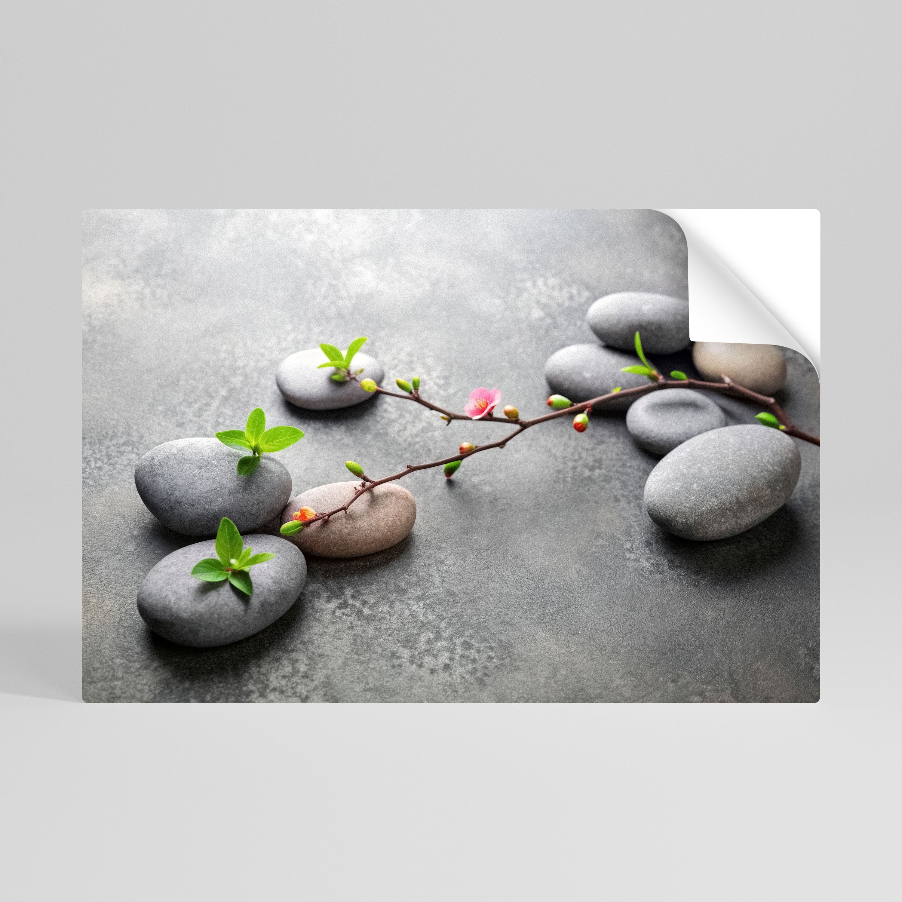 Horizontales Poster „Steinen und Blüten“ zum Abziehen und Aufkleben