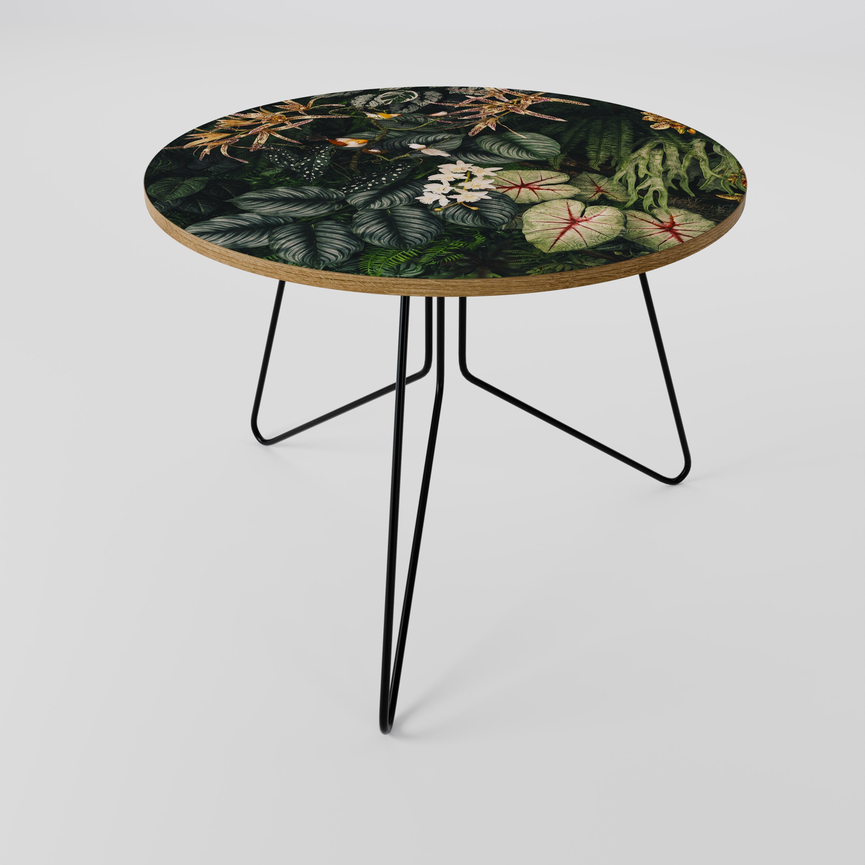 SILENT WILDERNESS Coffee Table 69