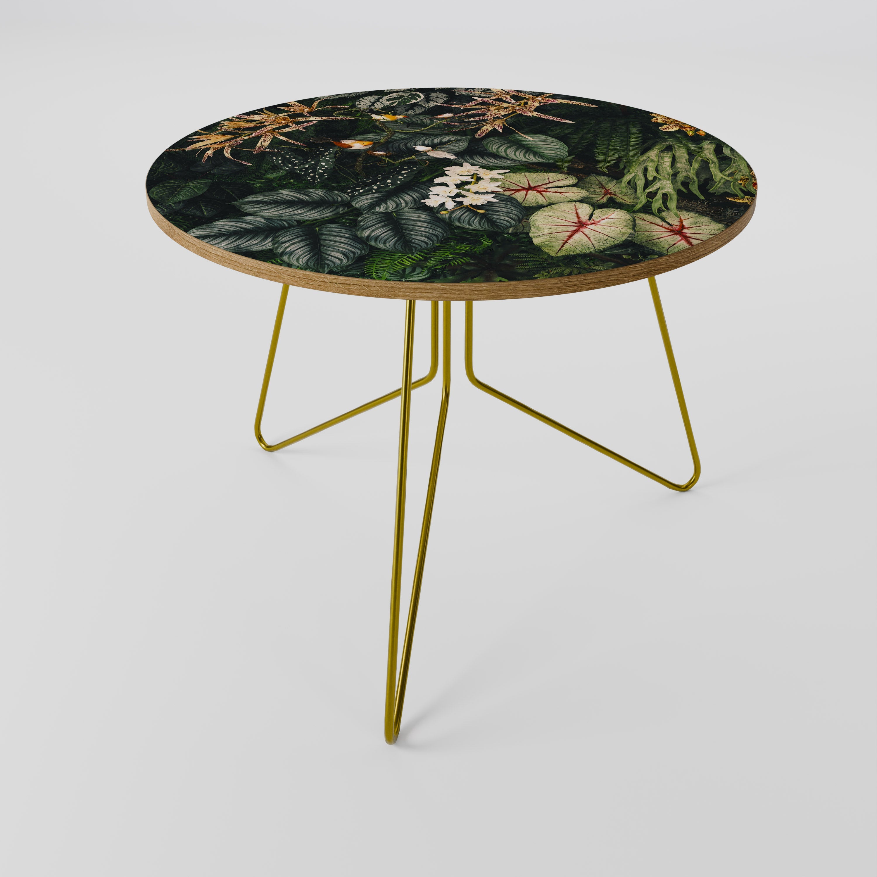 SILENT WILDERNESS Coffee Table 69
