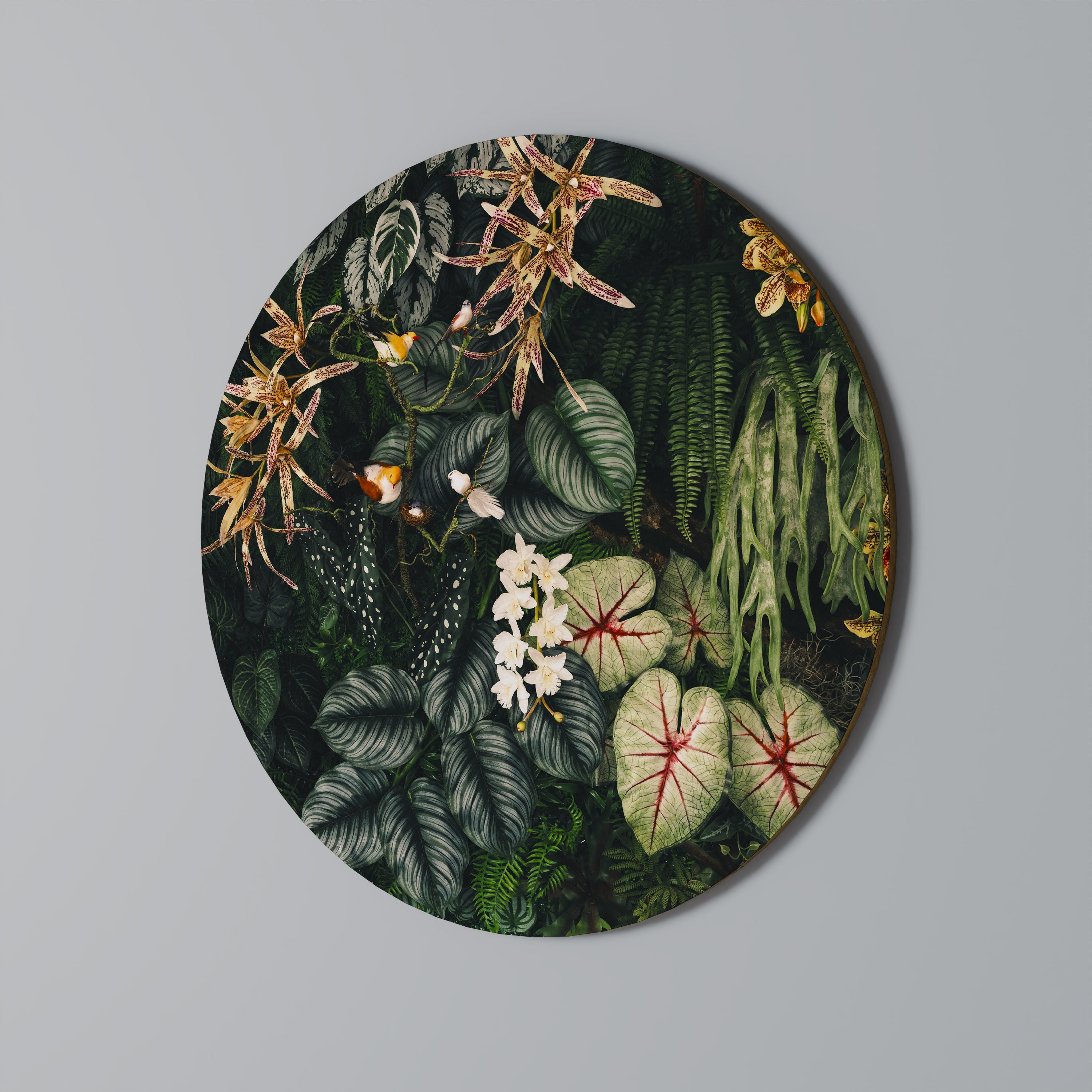 Runde Wandkunst „SILENT WILDERNESS“