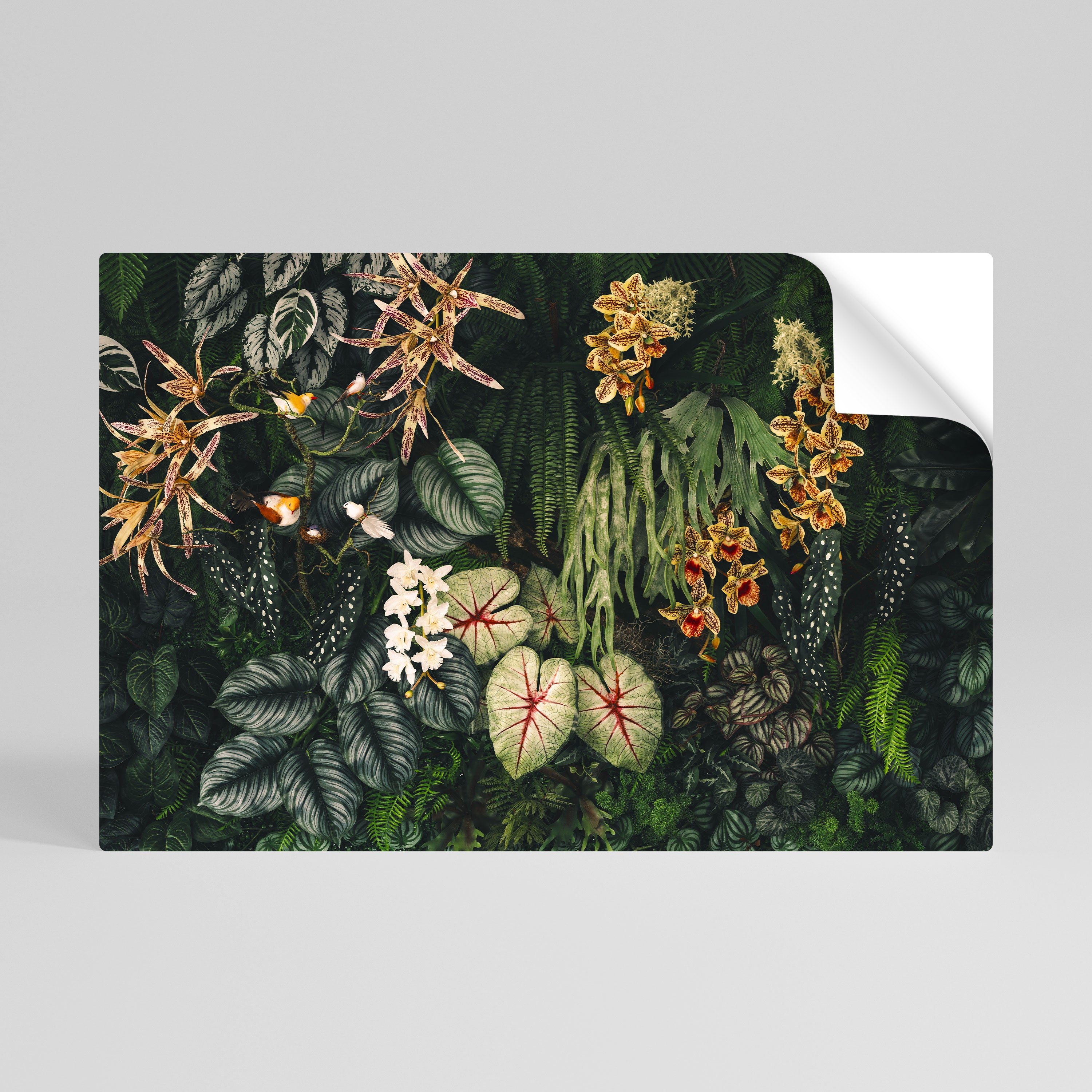 SILENT WILDERNESS Selbstklebendes Horizontal-Poster