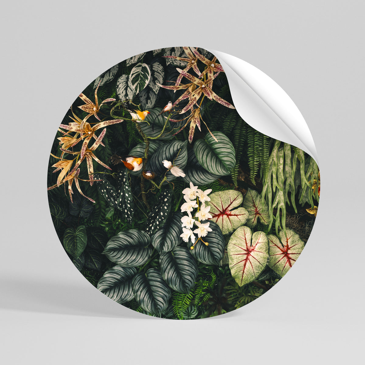 SILENT WILDERNESS Peel and Stick Round Sticker