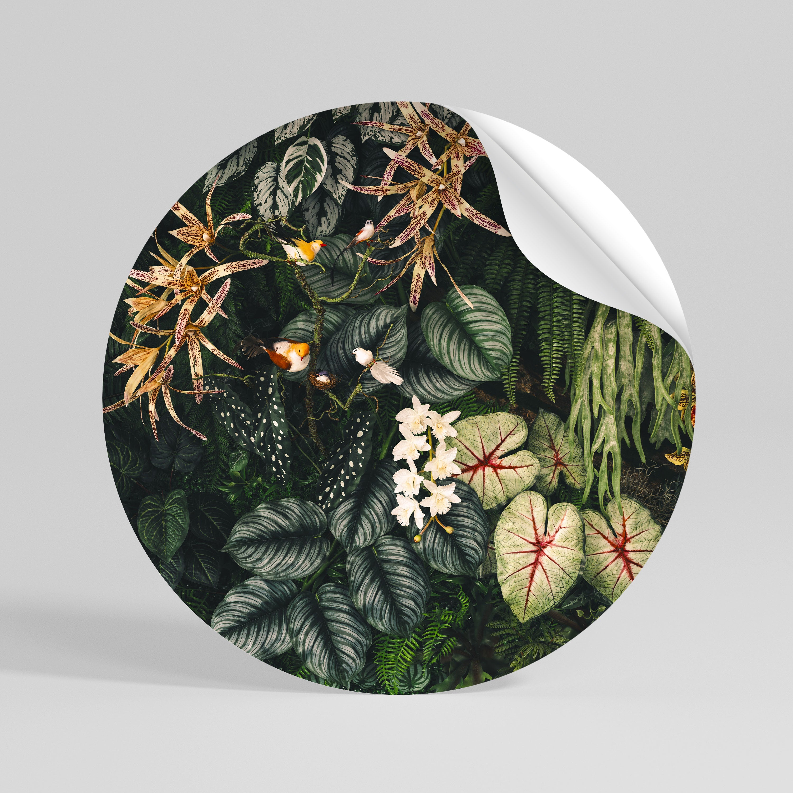 SILENT WILDERNESS Peel and Stick Round Sticker