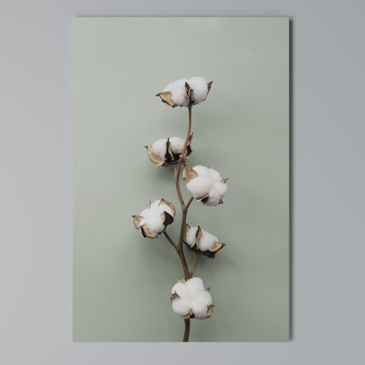 COTTON DREAMS UNFOLDED Vertical Canvas Print