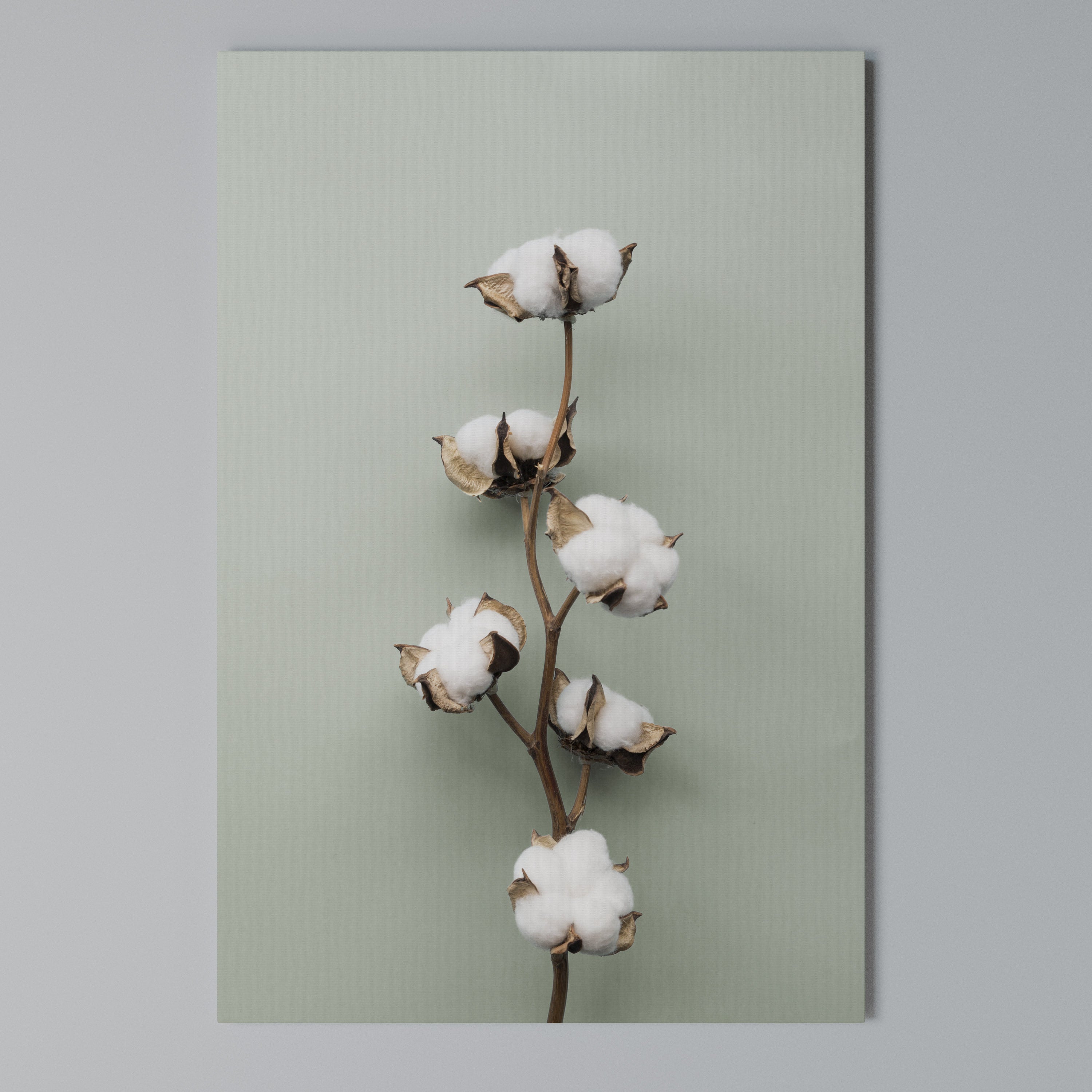 COTTON DREAMS UNFOLDED Vertical Canvas Print