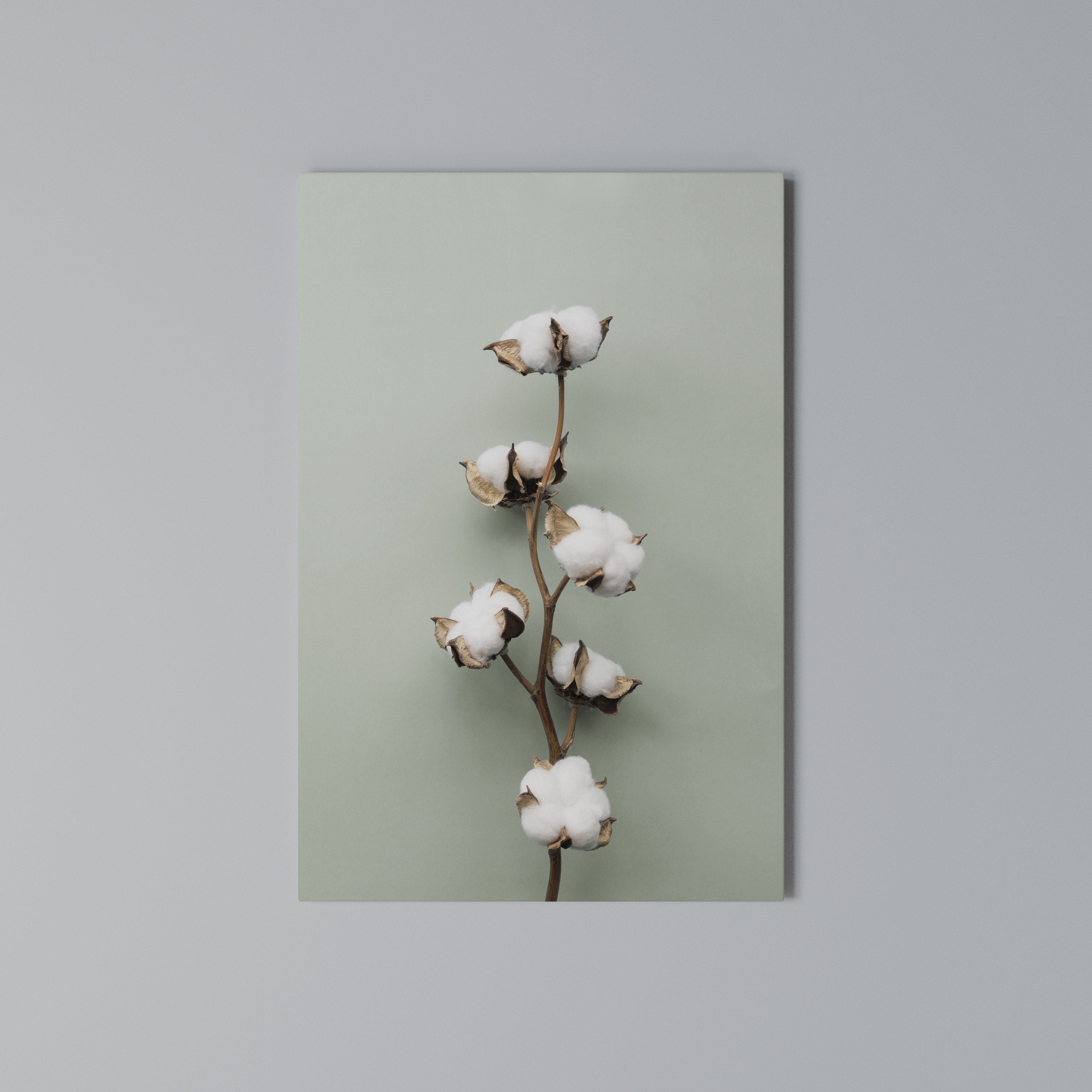 COTTON DREAMS UNFOLDED Vertical Canvas Print