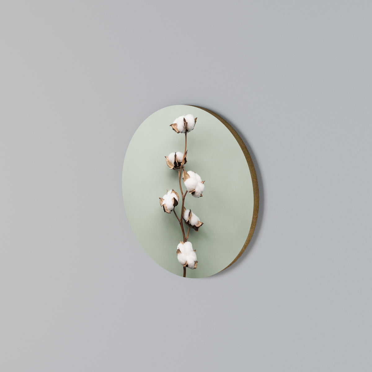 COTTON DREAMS UNFOLDED Round Wall Art